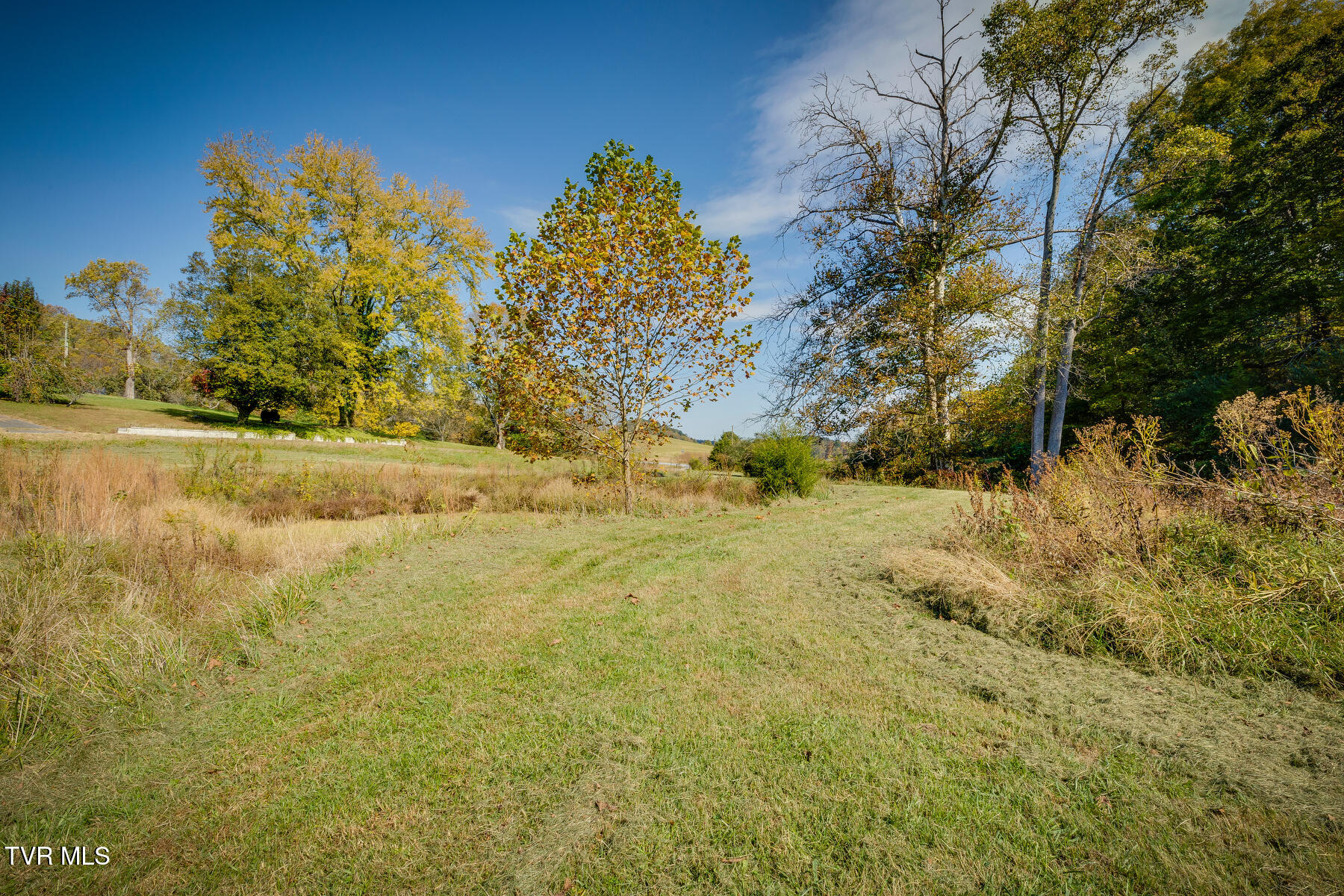 790 Hunting Hill Road, Piney Flats, Tennessee image 5
