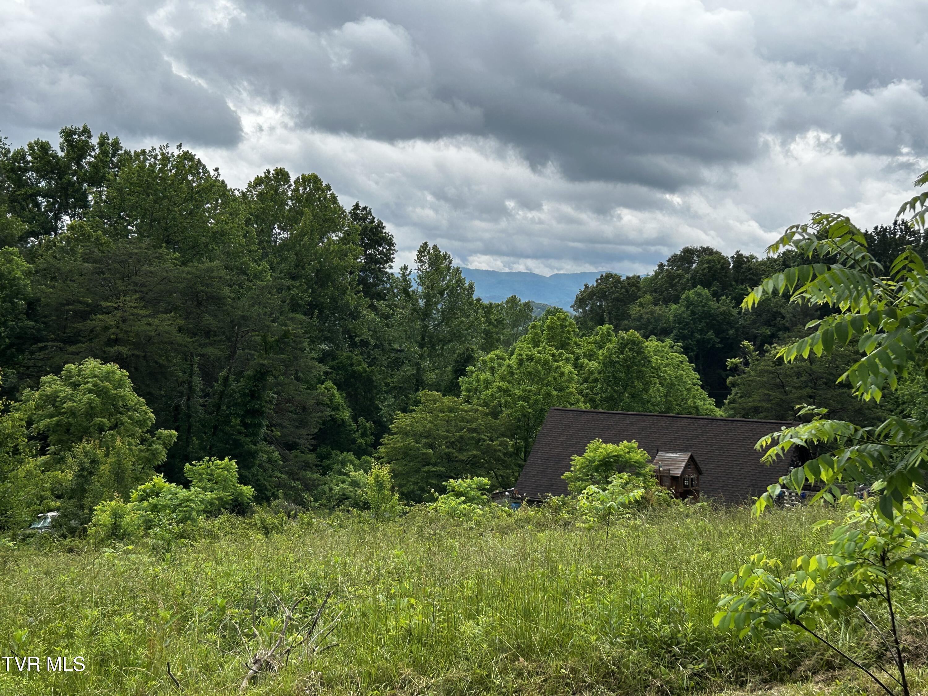 Tbd Happy Valley Rd., Johnson City, Tennessee image 4