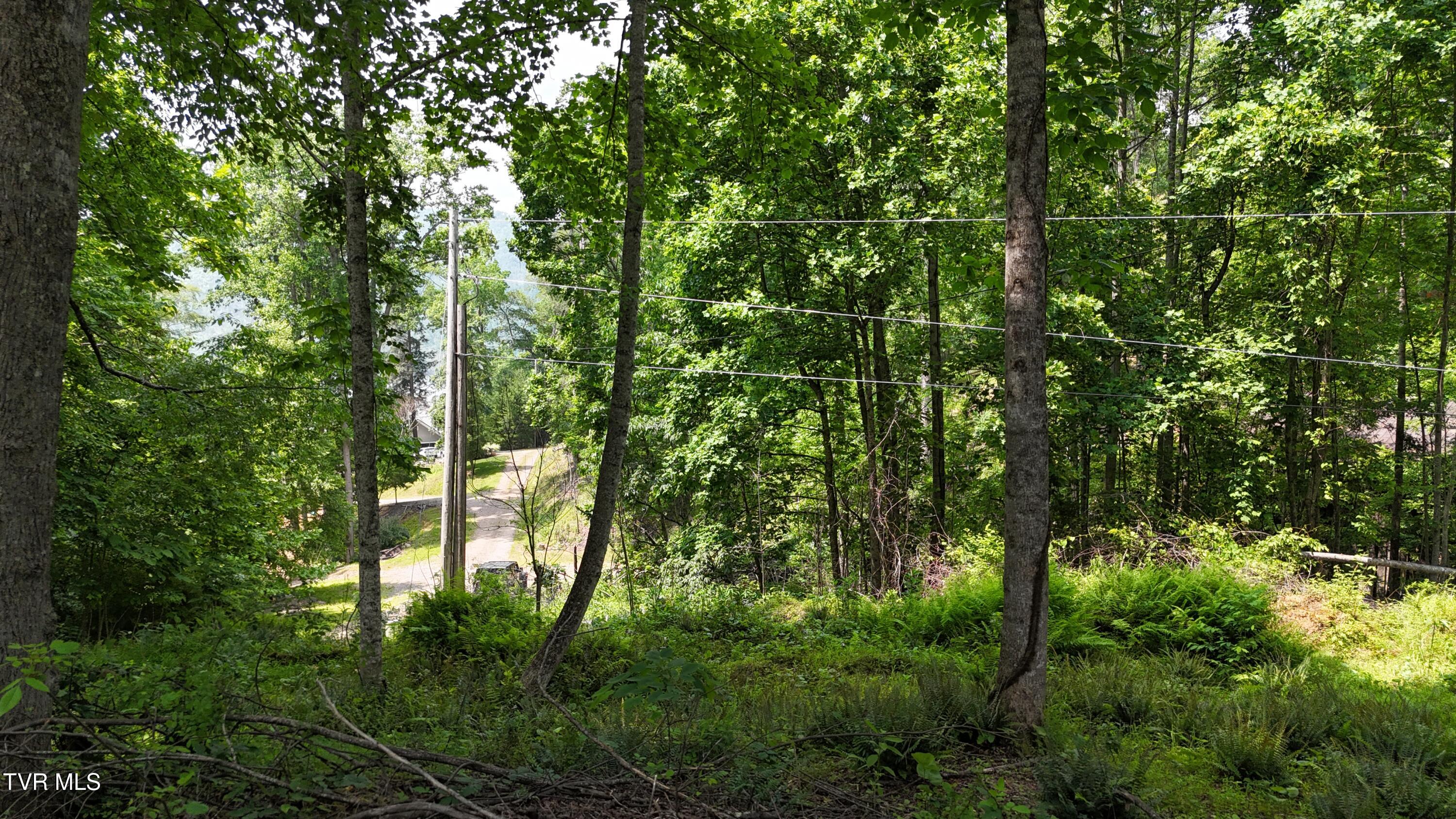 Tr 1 Atwood Point, Butler, Tennessee image 23