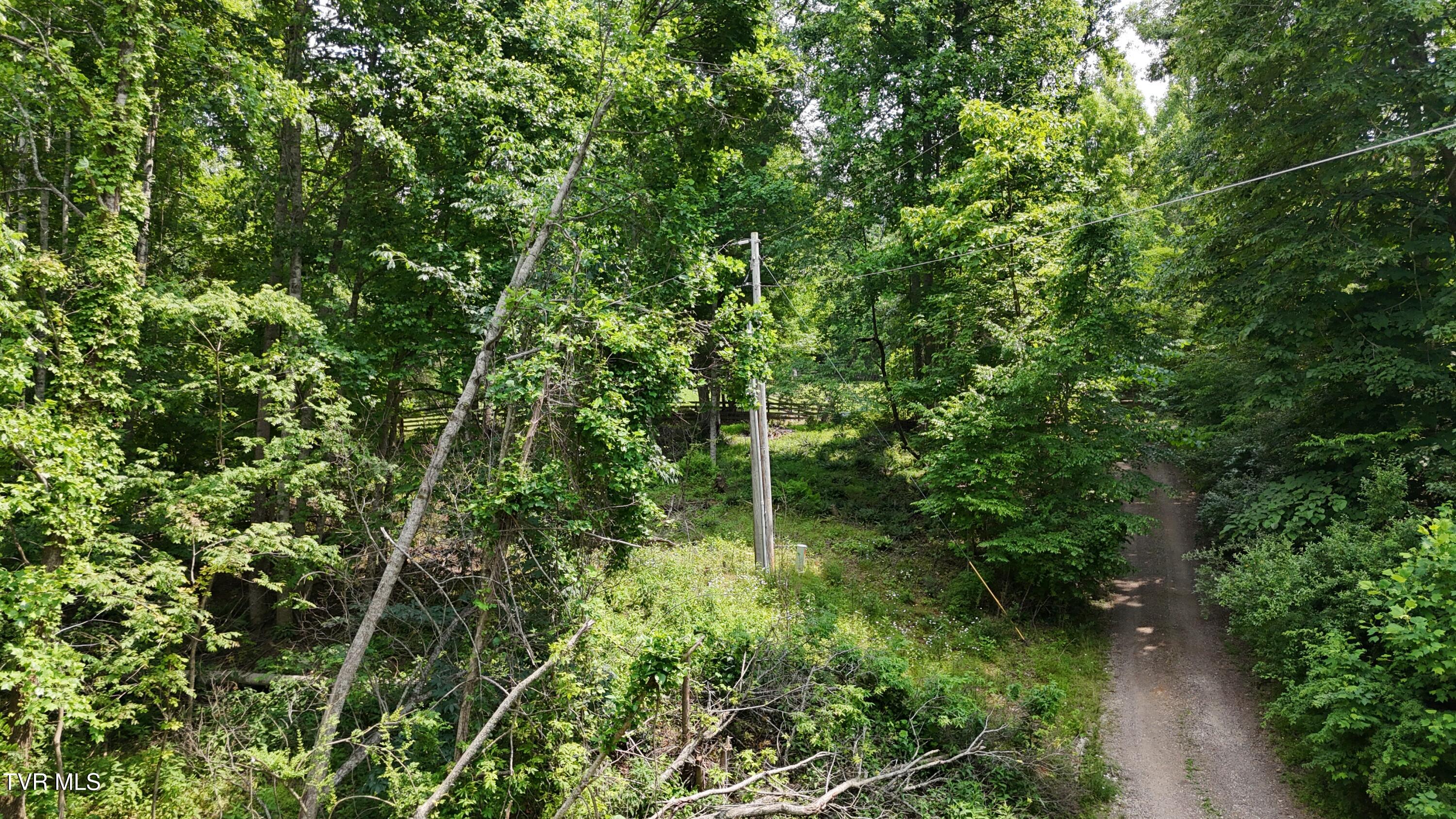 Tr 1 Atwood Point, Butler, Tennessee image 18