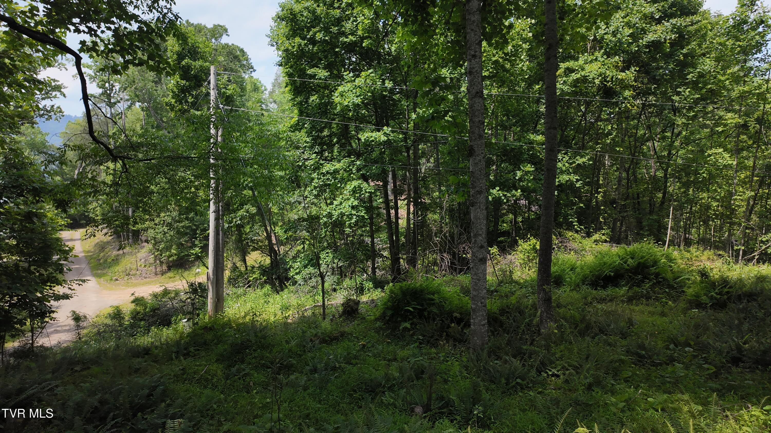 Tr 1 Atwood Point, Butler, Tennessee image 44
