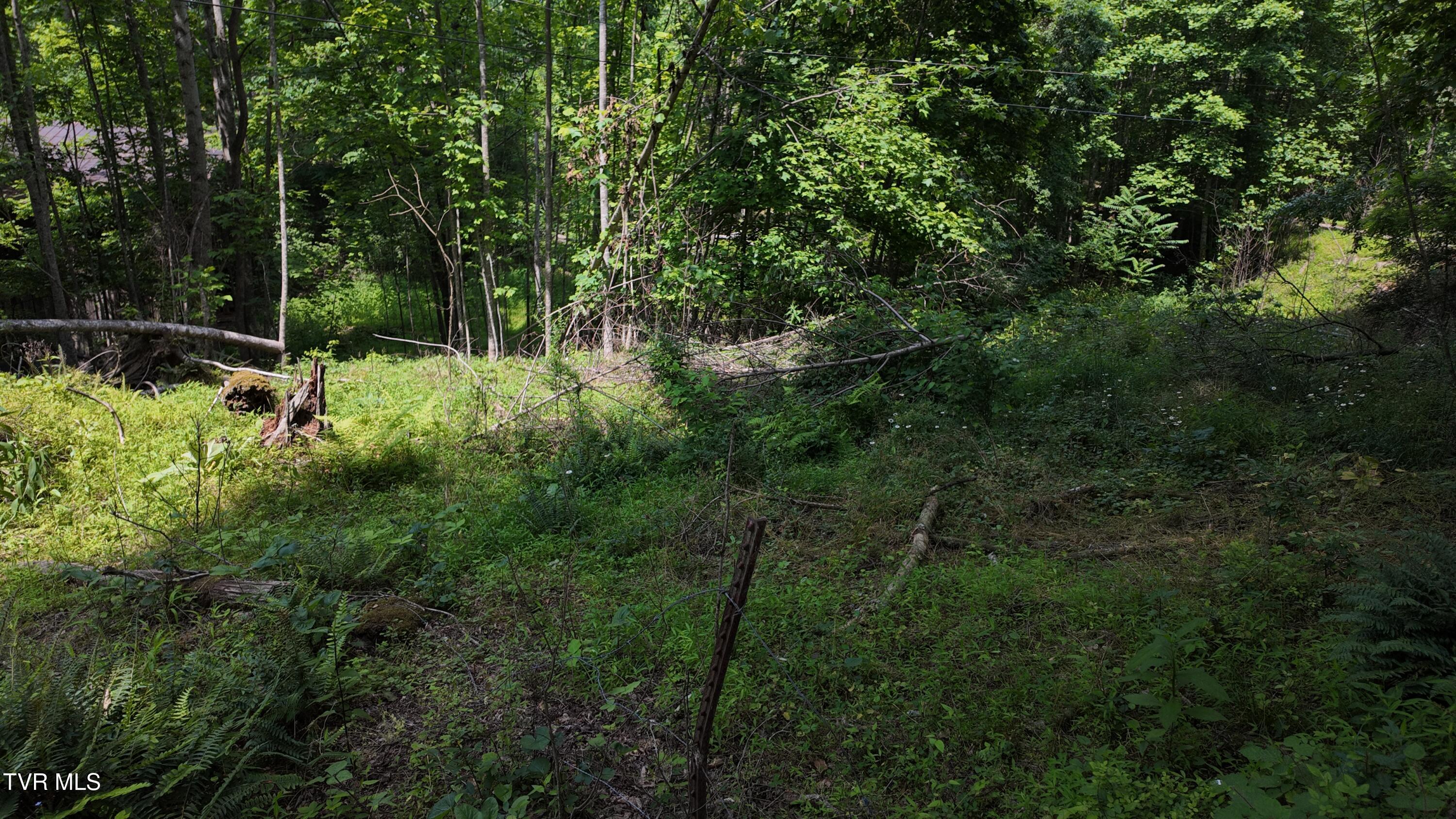 Tr 1 Atwood Point, Butler, Tennessee image 36