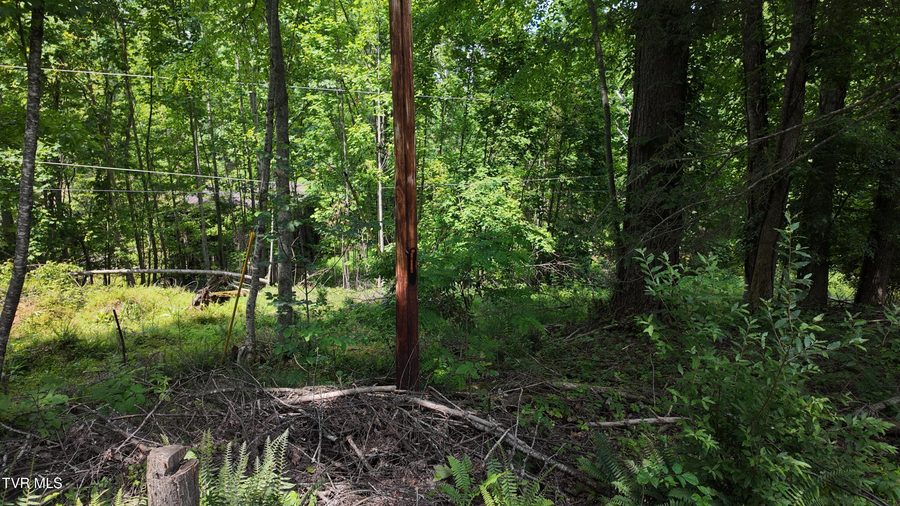 Tr 1 Atwood Point, Butler, Tennessee image 38