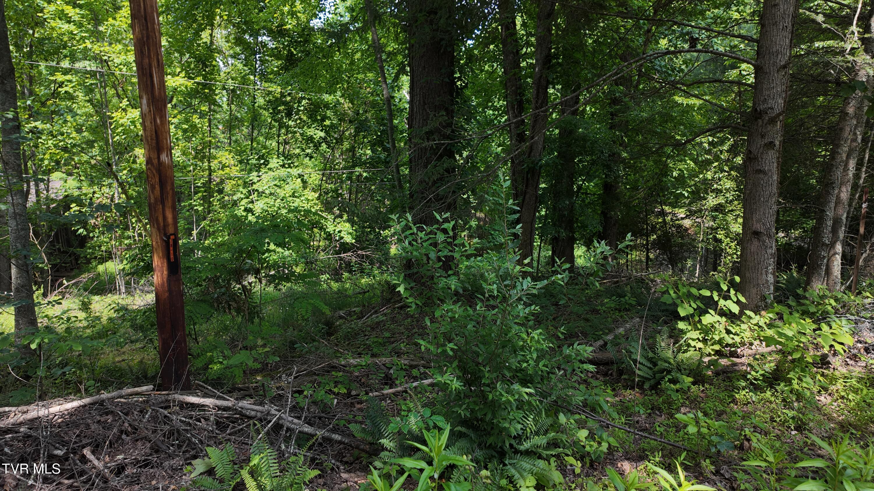 Tr 1 Atwood Point, Butler, Tennessee image 37