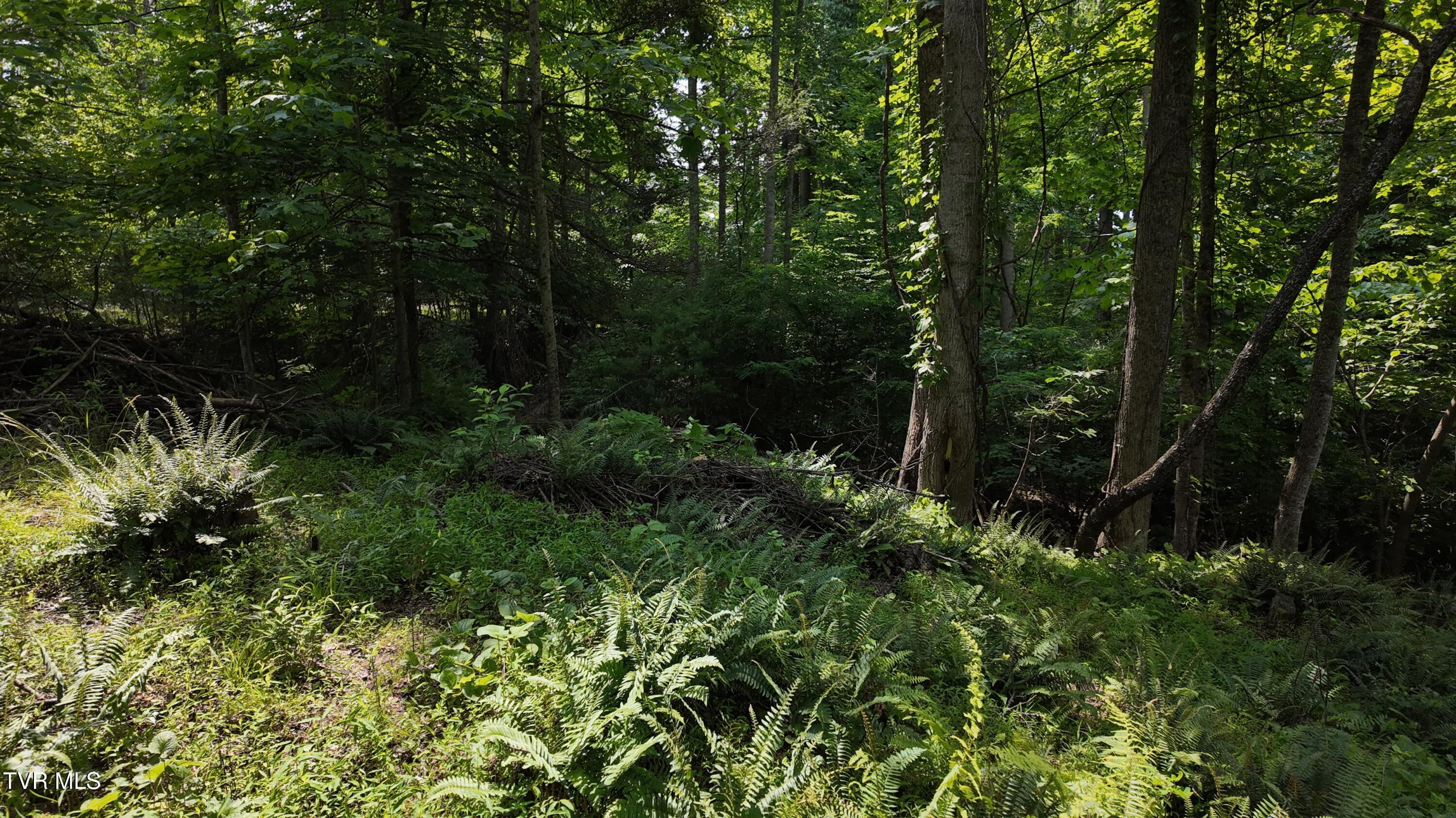 Tr 1 Atwood Point, Butler, Tennessee image 42