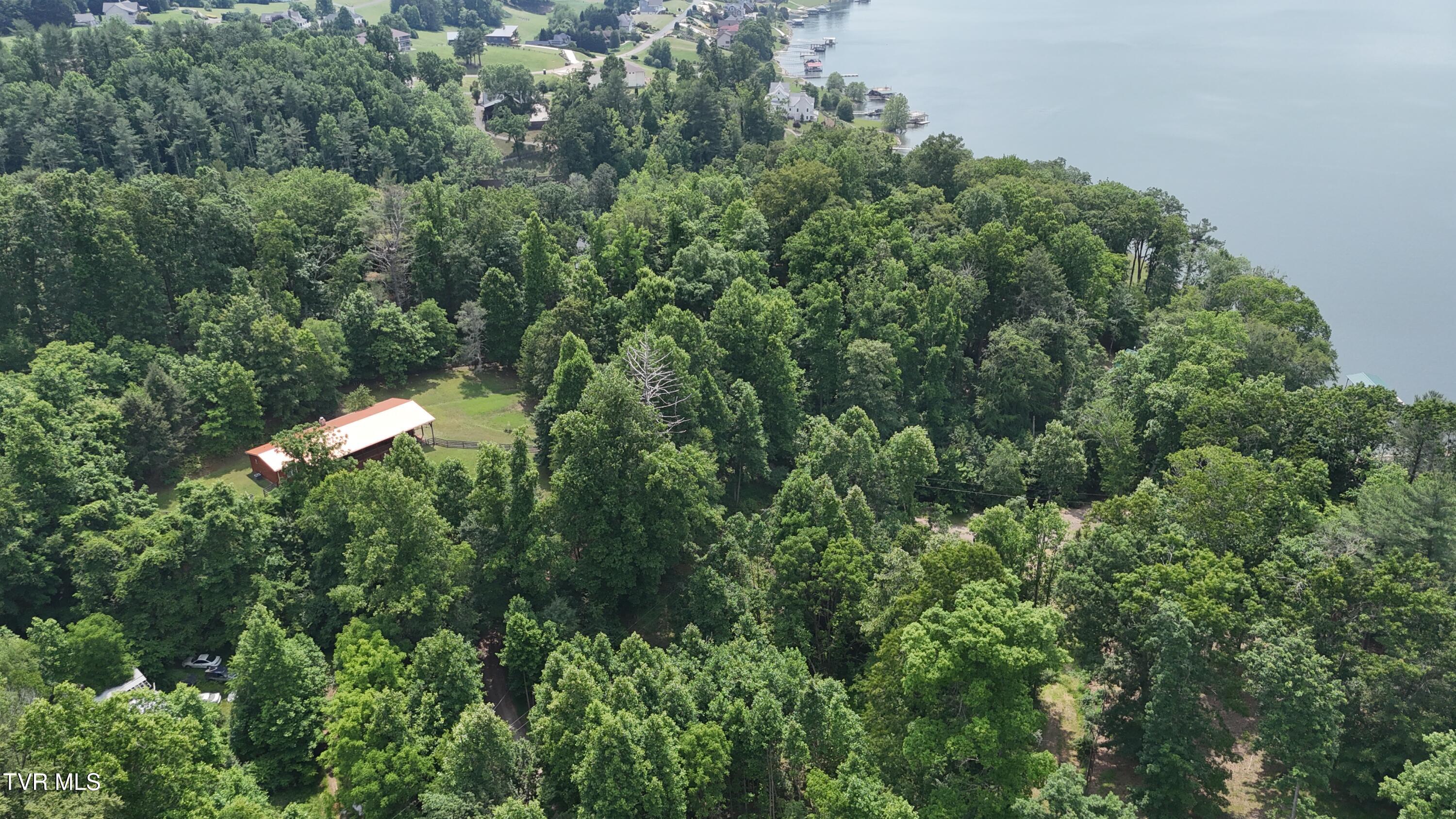 Tr 1 Atwood Point, Butler, Tennessee image 16