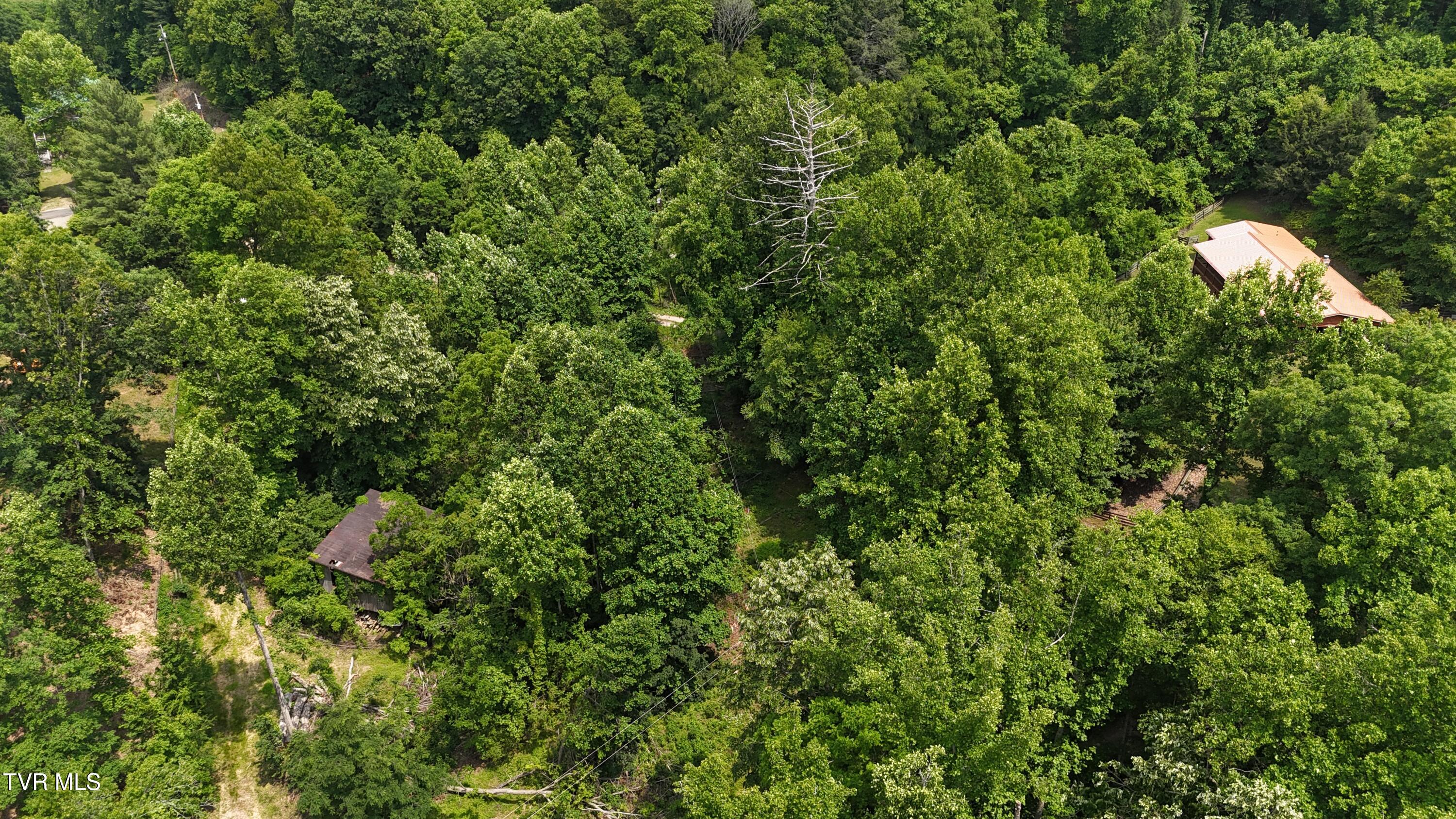 Tr 1 Atwood Point, Butler, Tennessee image 6