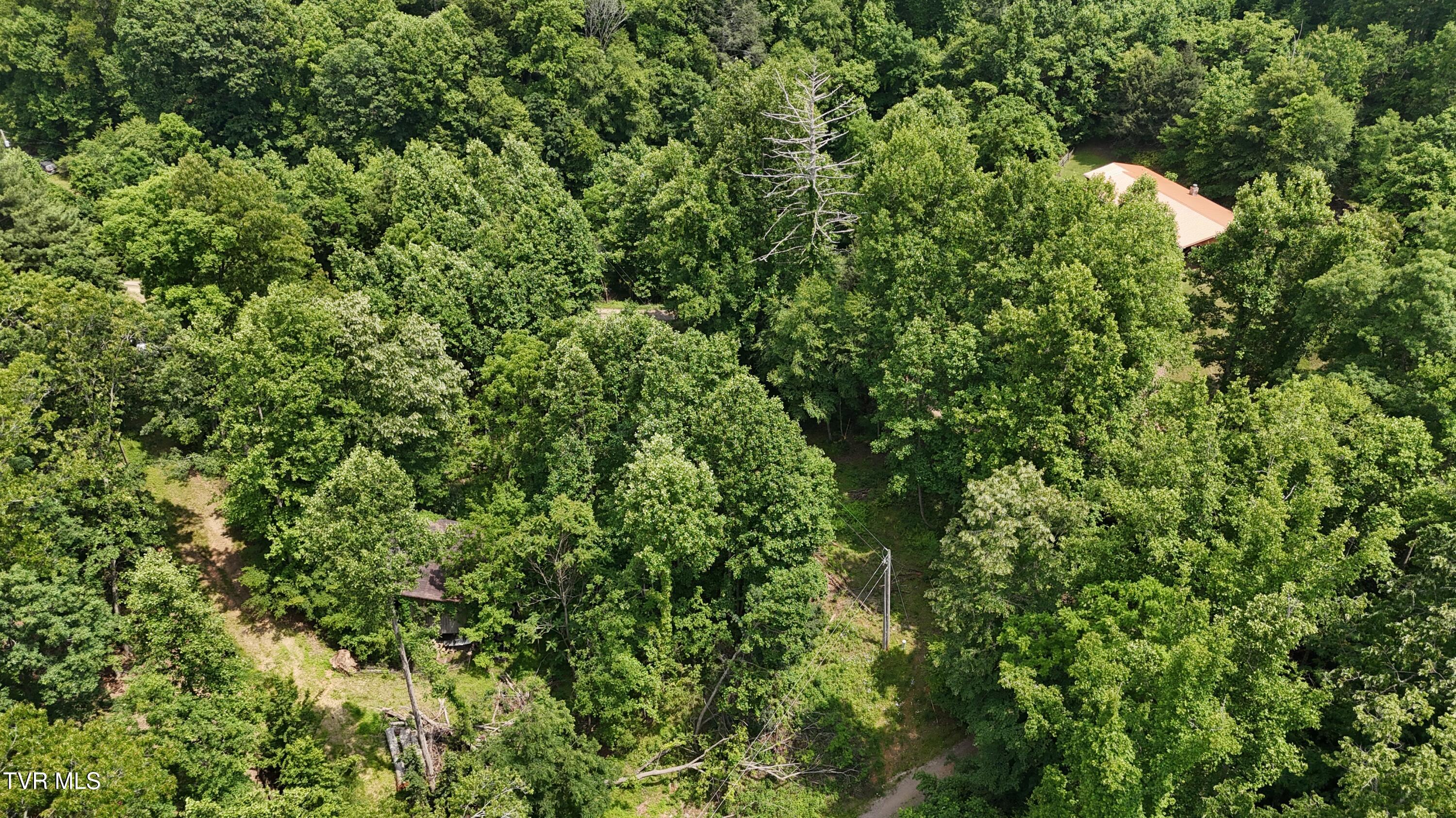 Tr 1 Atwood Point, Butler, Tennessee image 4
