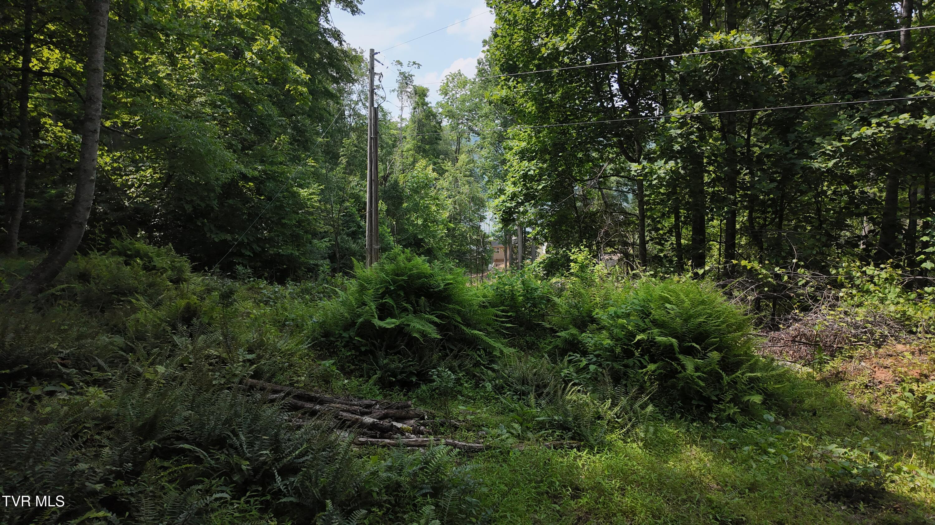 Tr 1 Atwood Point, Butler, Tennessee image 34