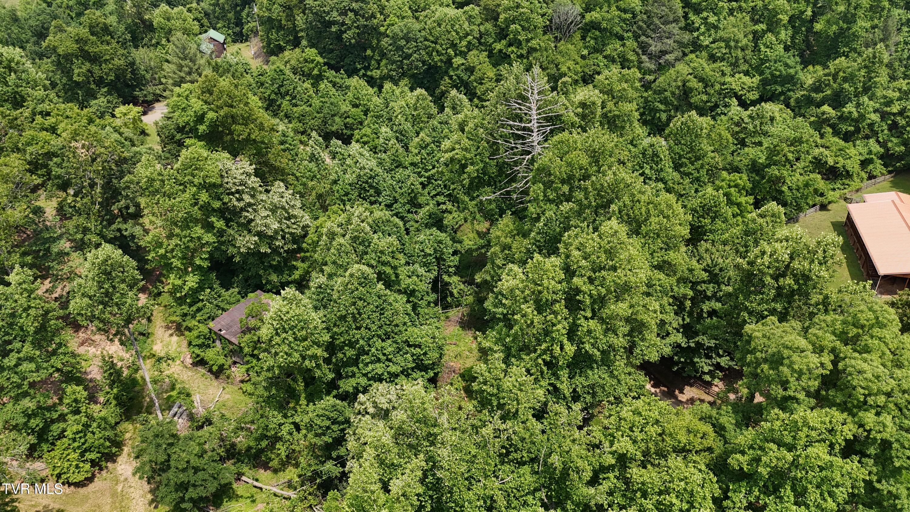 Tr 1 Atwood Point, Butler, Tennessee image 7