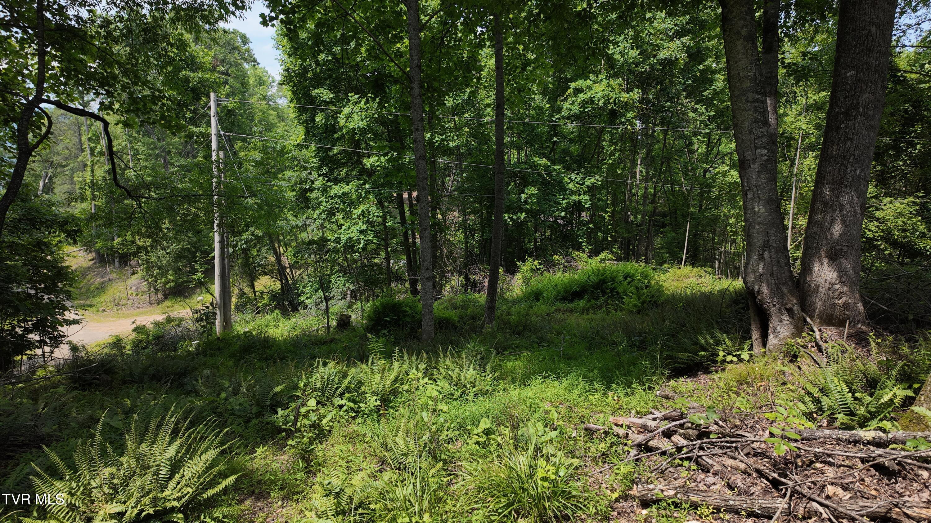 Tr 1 Atwood Point, Butler, Tennessee image 32