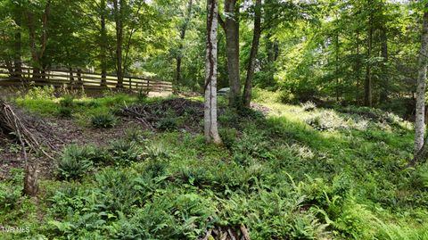 Vacant Land For Sale - TR 1 Atwood Point<br/> Johnson County, Butler, TN 37640