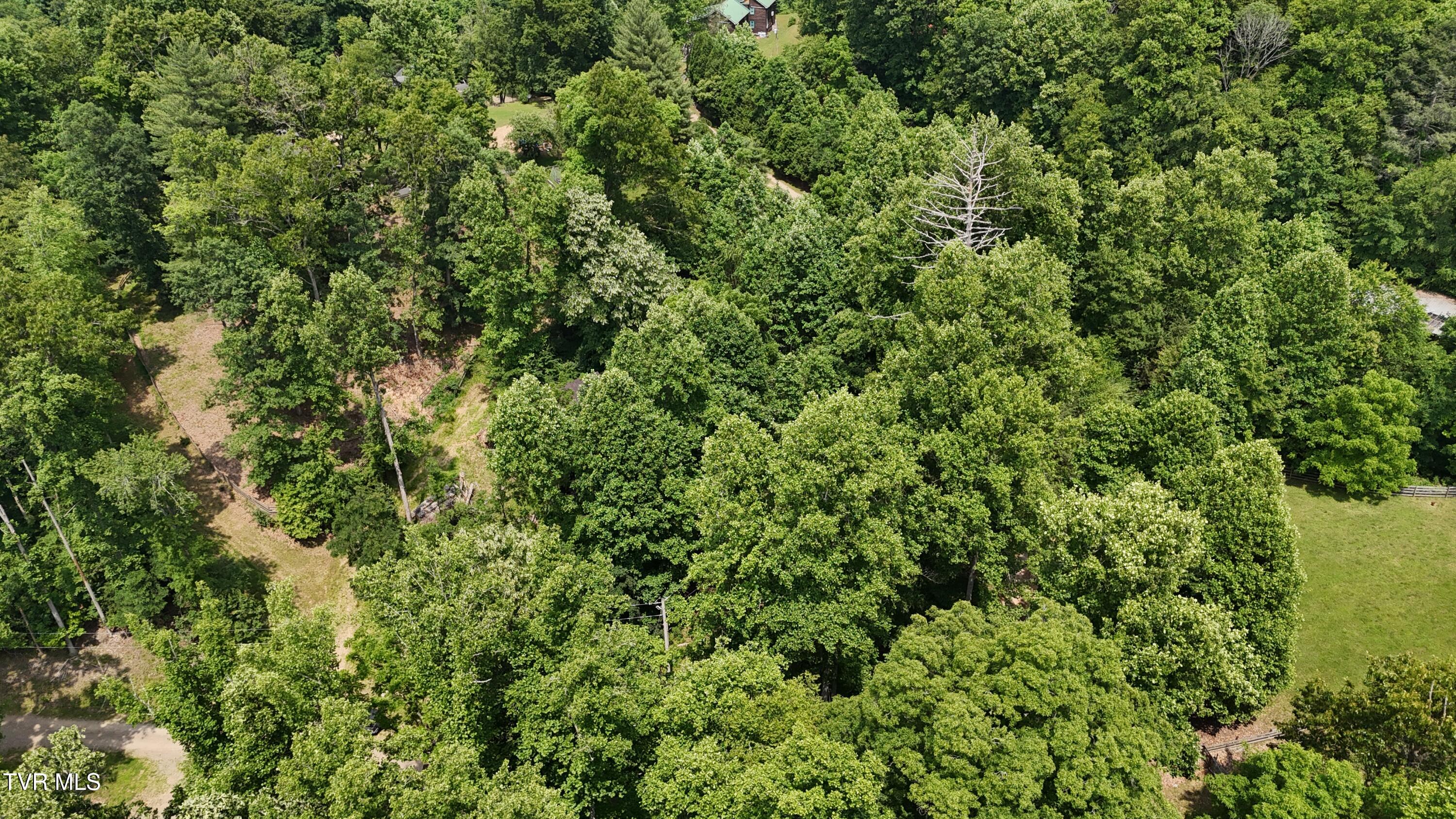 Tr 1 Atwood Point, Butler, Tennessee image 8