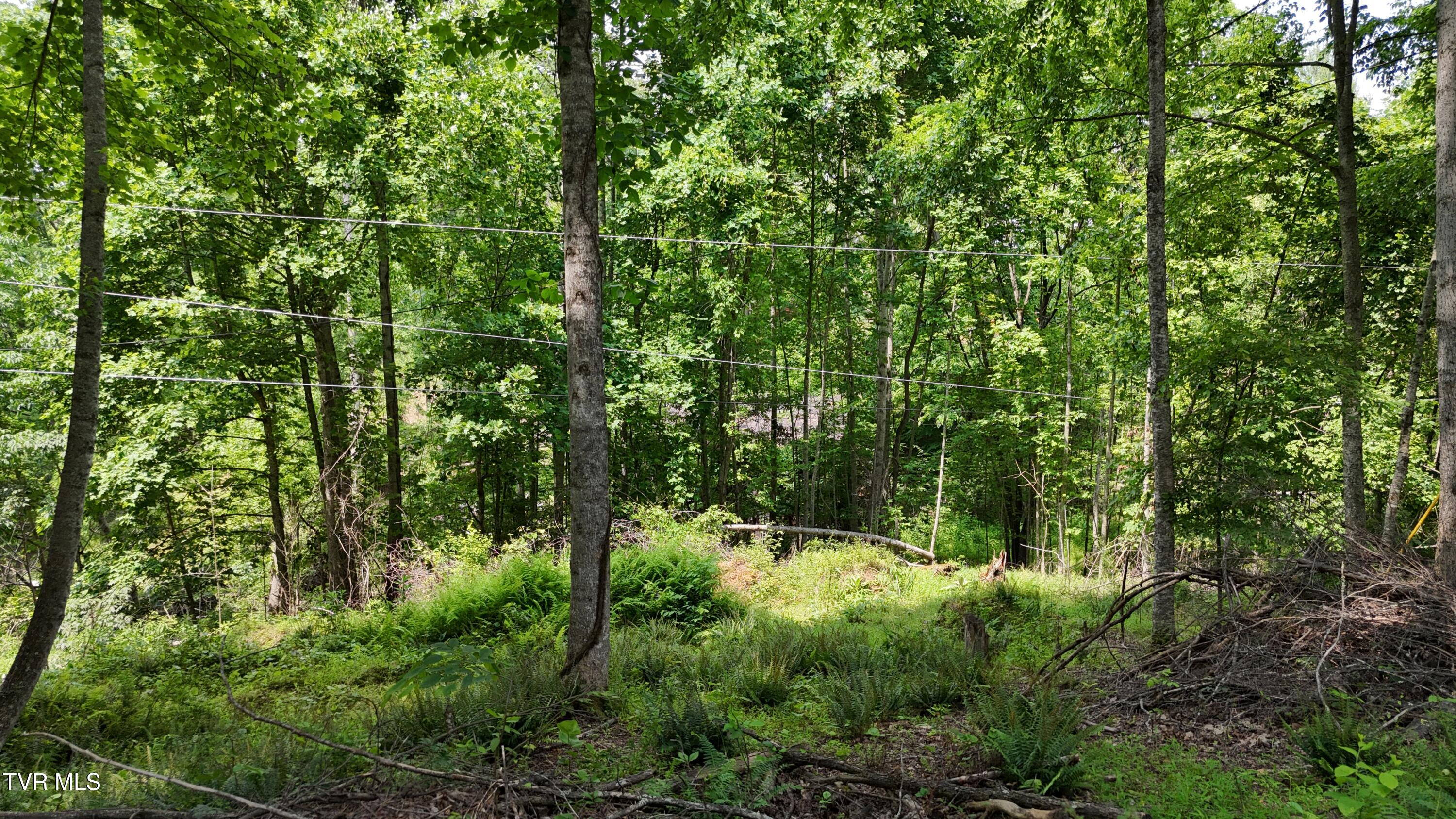 Tr 1 Atwood Point, Butler, Tennessee image 22
