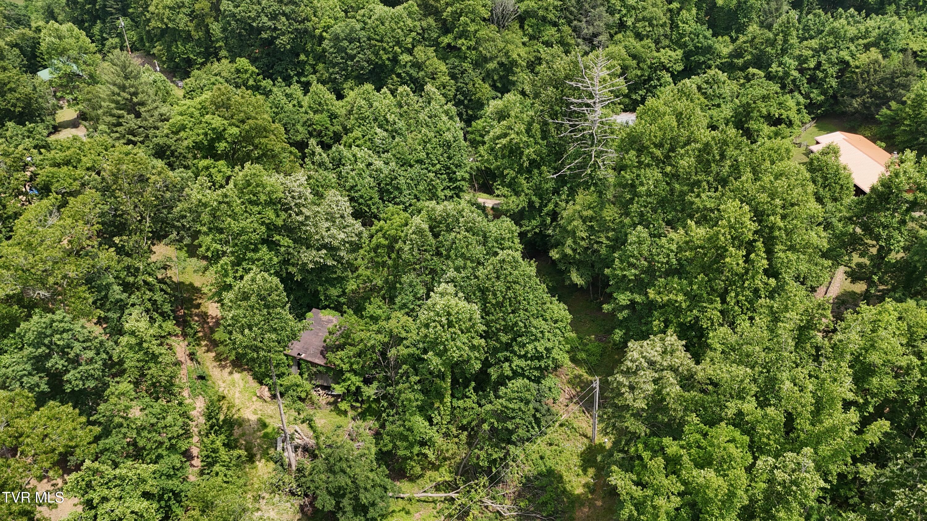 Tr 1 Atwood Point, Butler, Tennessee image 5