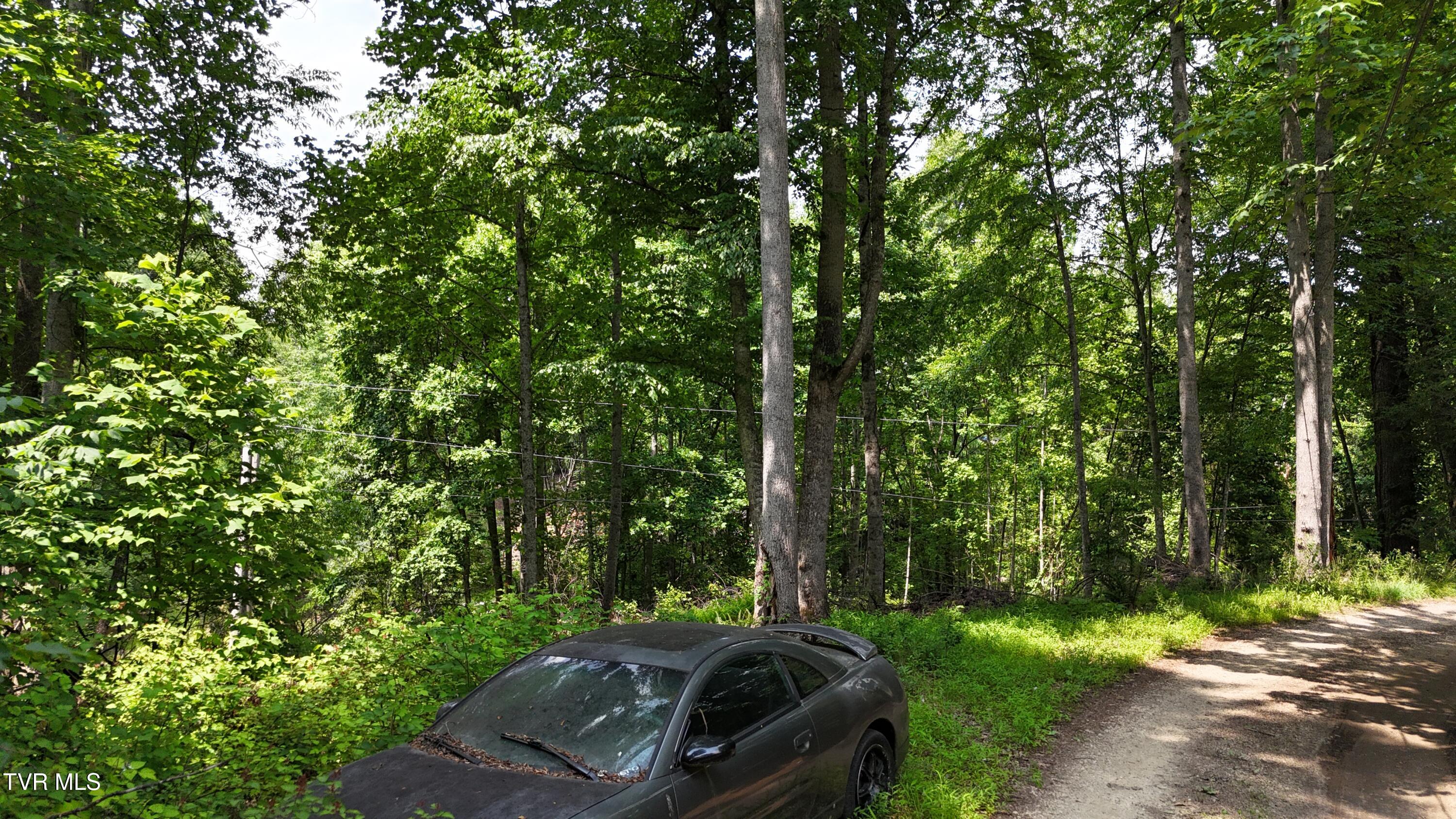 Tr 1 Atwood Point, Butler, Tennessee image 19