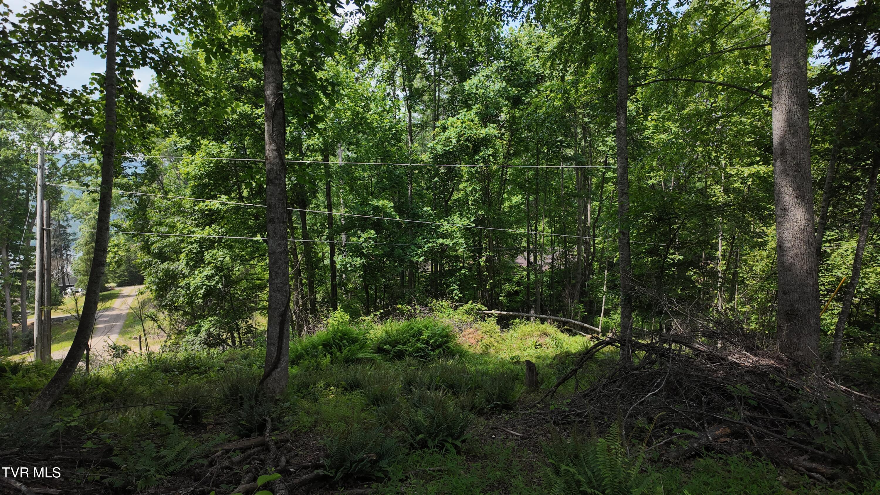 Tr 1 Atwood Point, Butler, Tennessee image 40