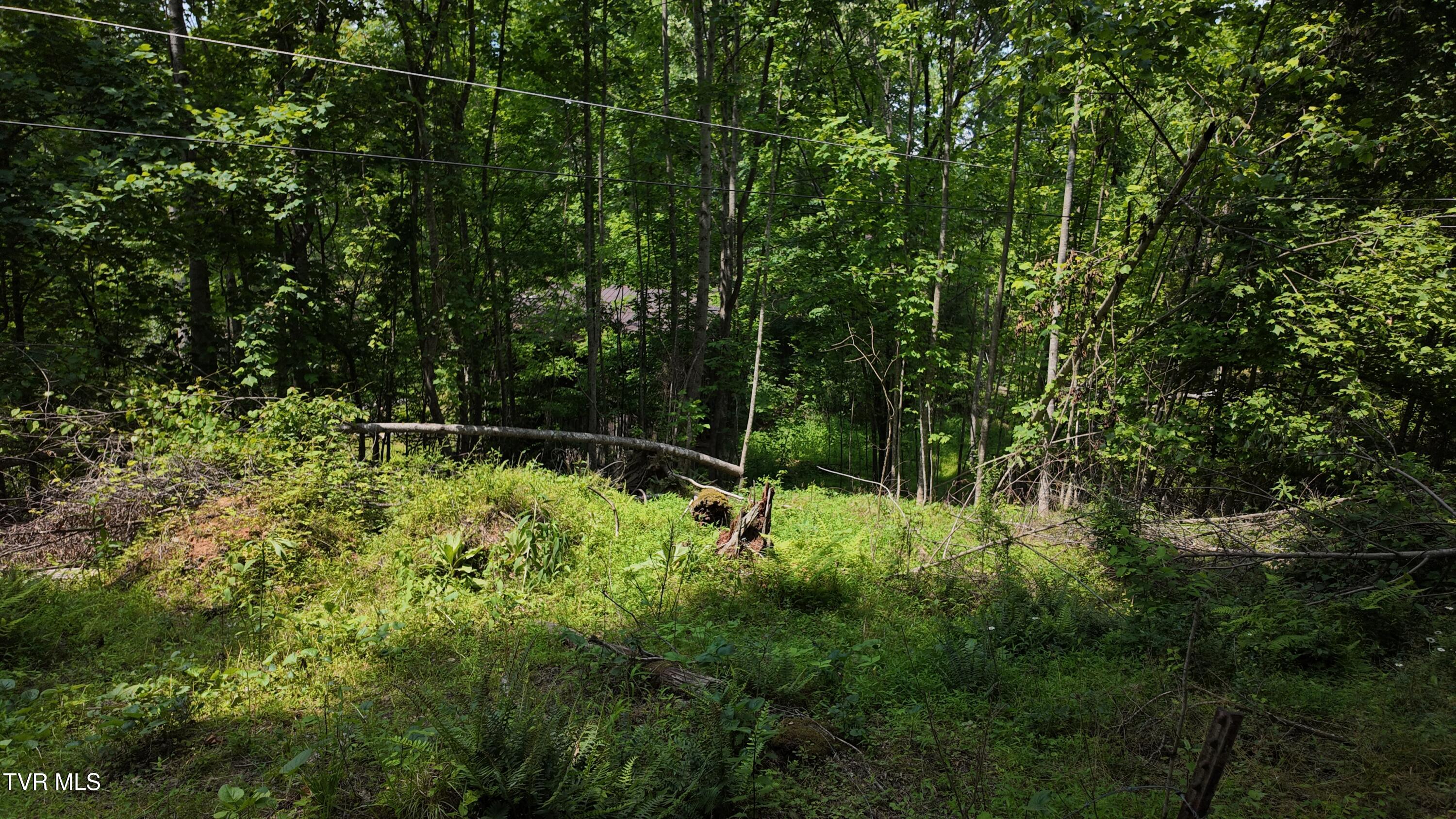 Tr 1 Atwood Point, Butler, Tennessee image 35