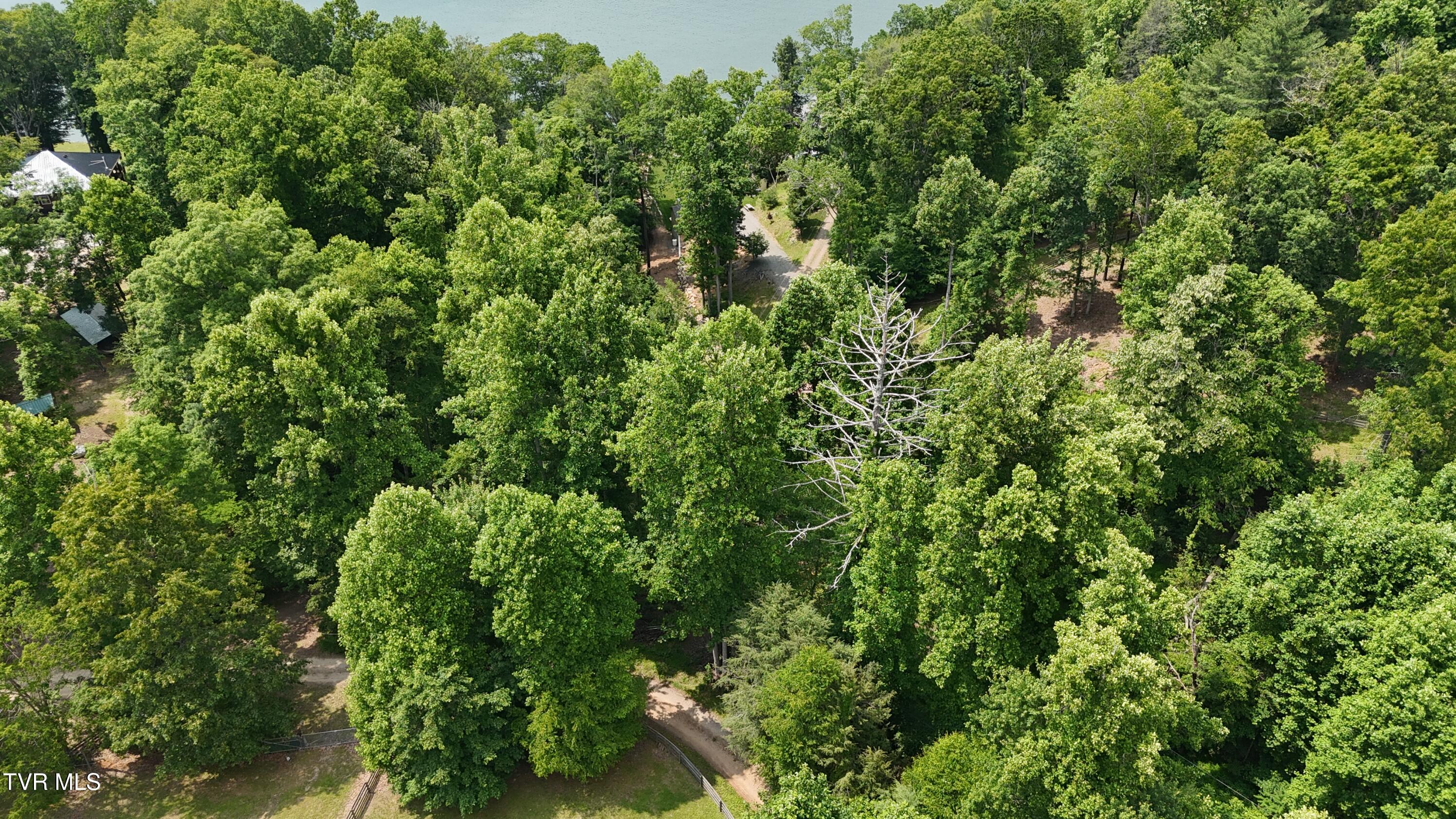 Tr 1 Atwood Point, Butler, Tennessee image 10