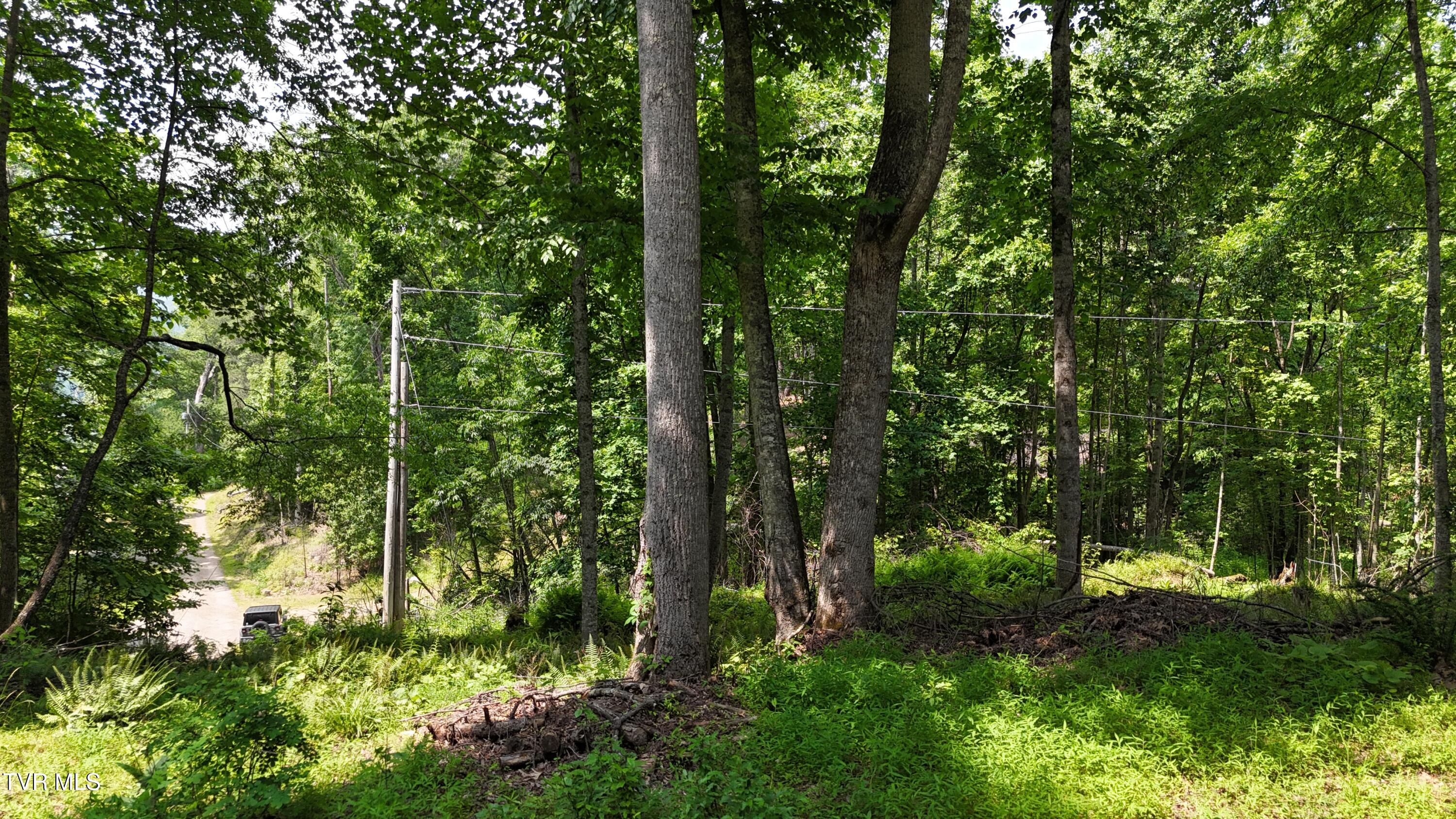 Tr 1 Atwood Point, Butler, Tennessee image 21