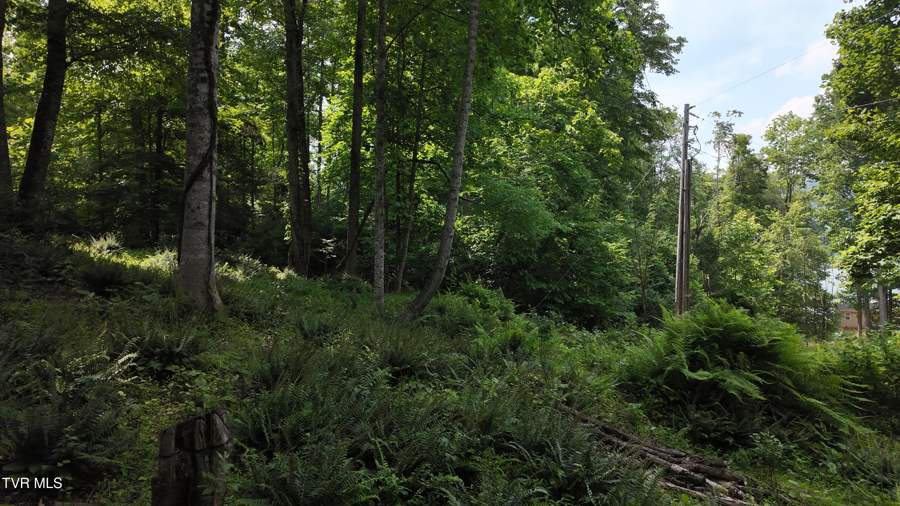 Tr 1 Atwood Point, Butler, Tennessee image 33