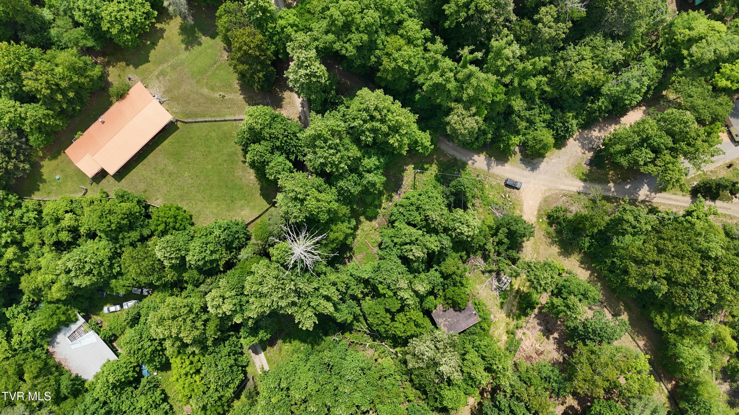 Tr 1 Atwood Point, Butler, Tennessee image 29
