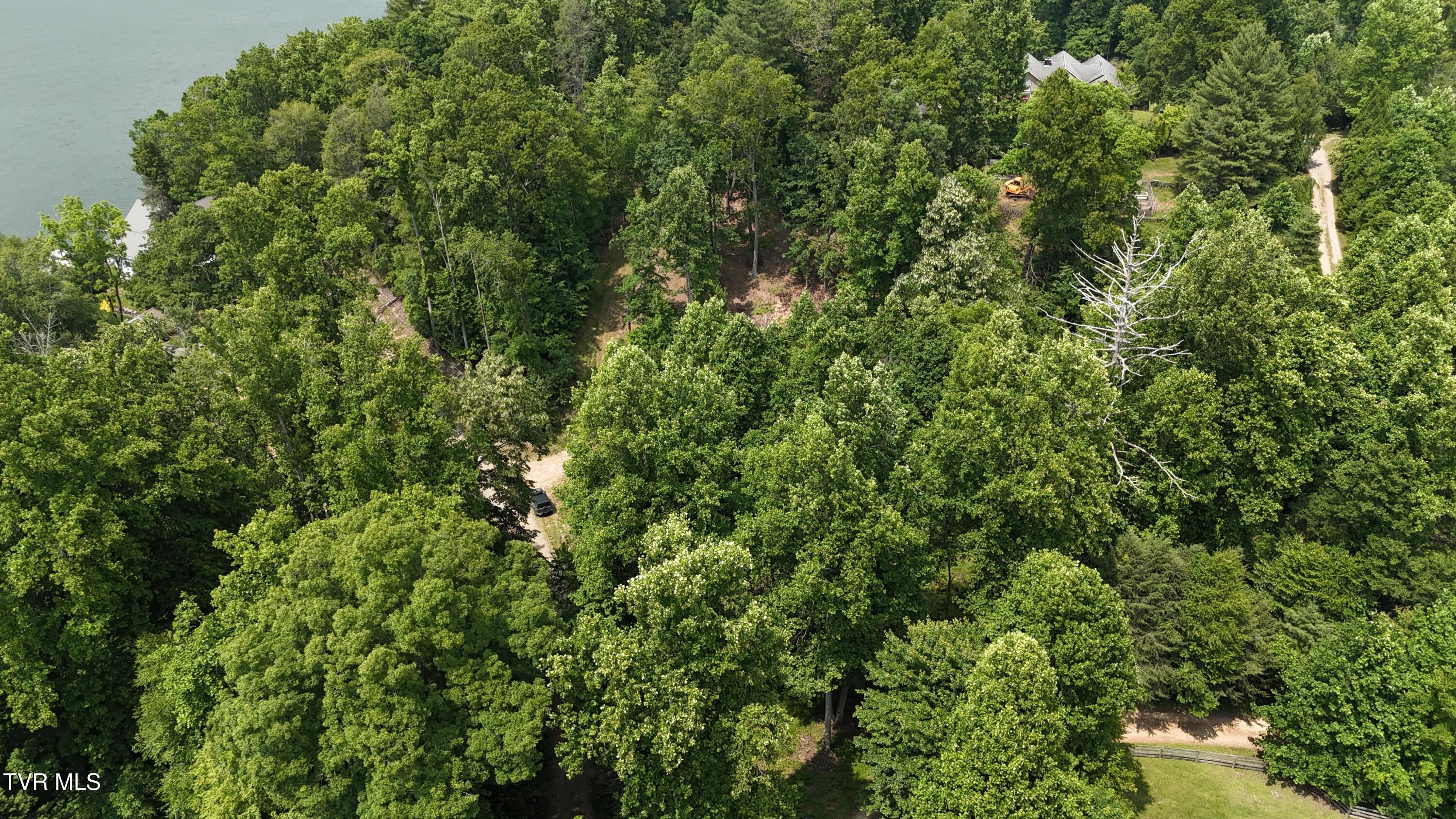 Tr 1 Atwood Point, Butler, Tennessee image 9