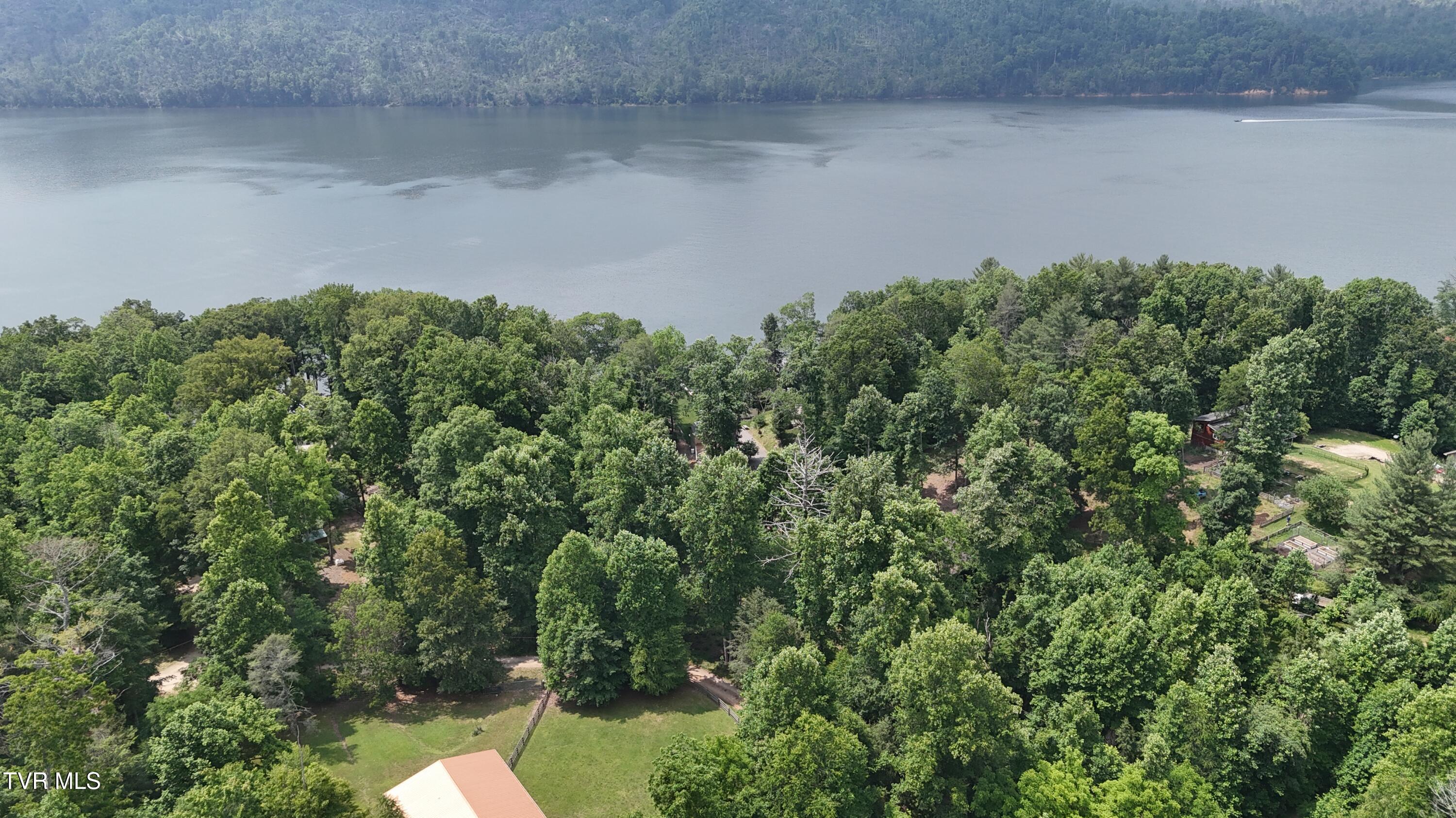 Tr 1 Atwood Point, Butler, Tennessee image 11