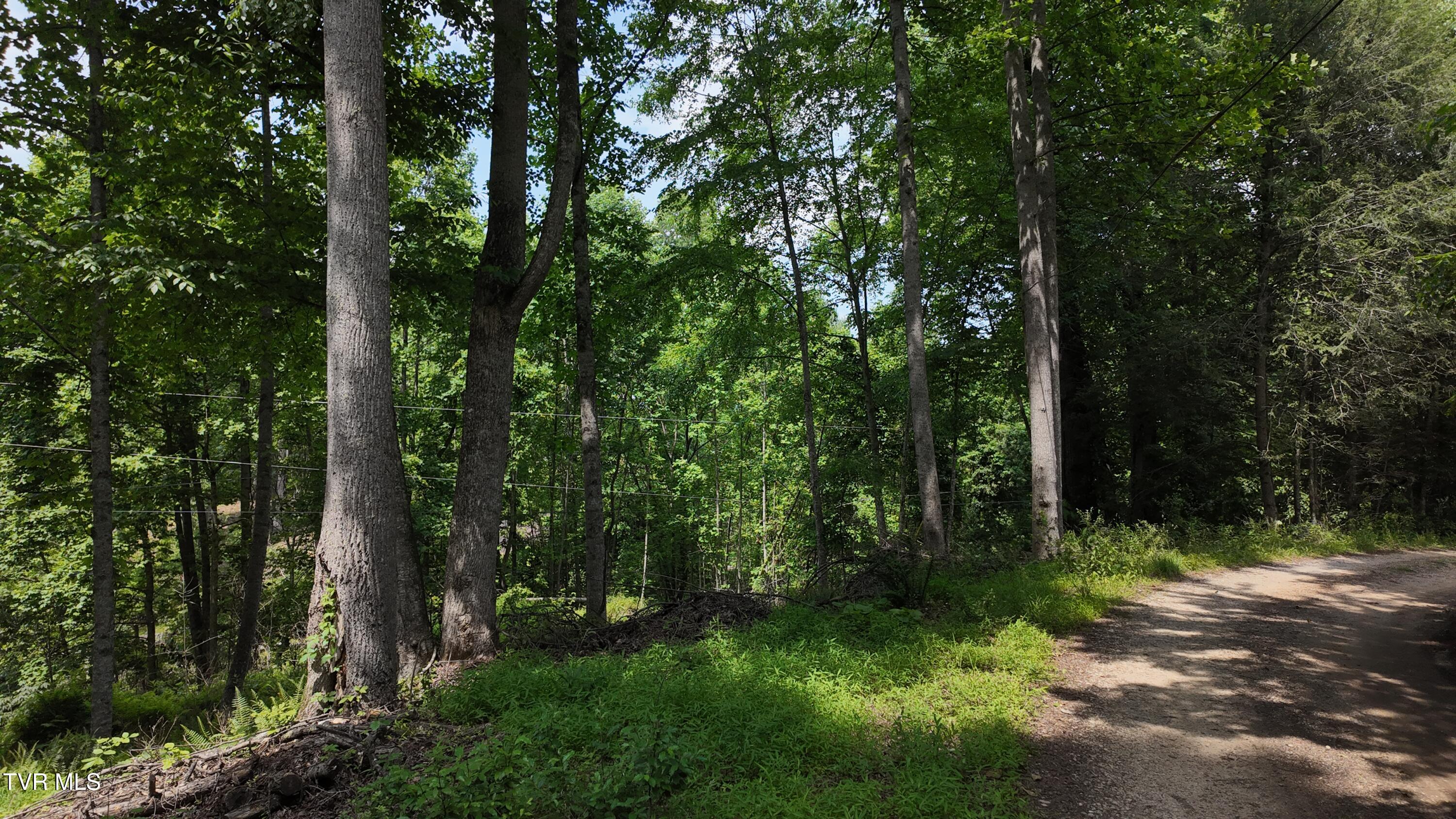 Tr 1 Atwood Point, Butler, Tennessee image 3