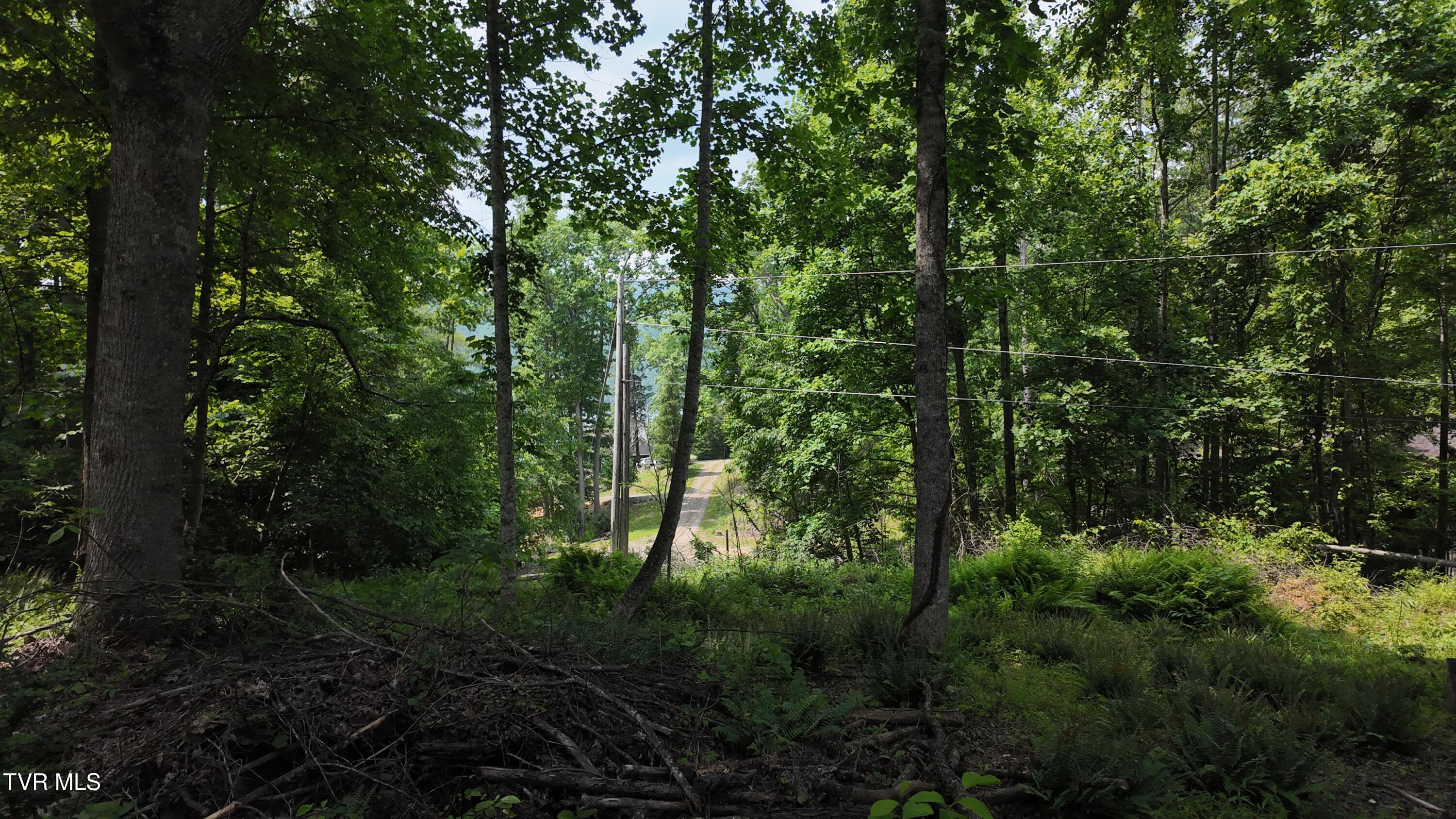 Tr 1 Atwood Point, Butler, Tennessee image 41