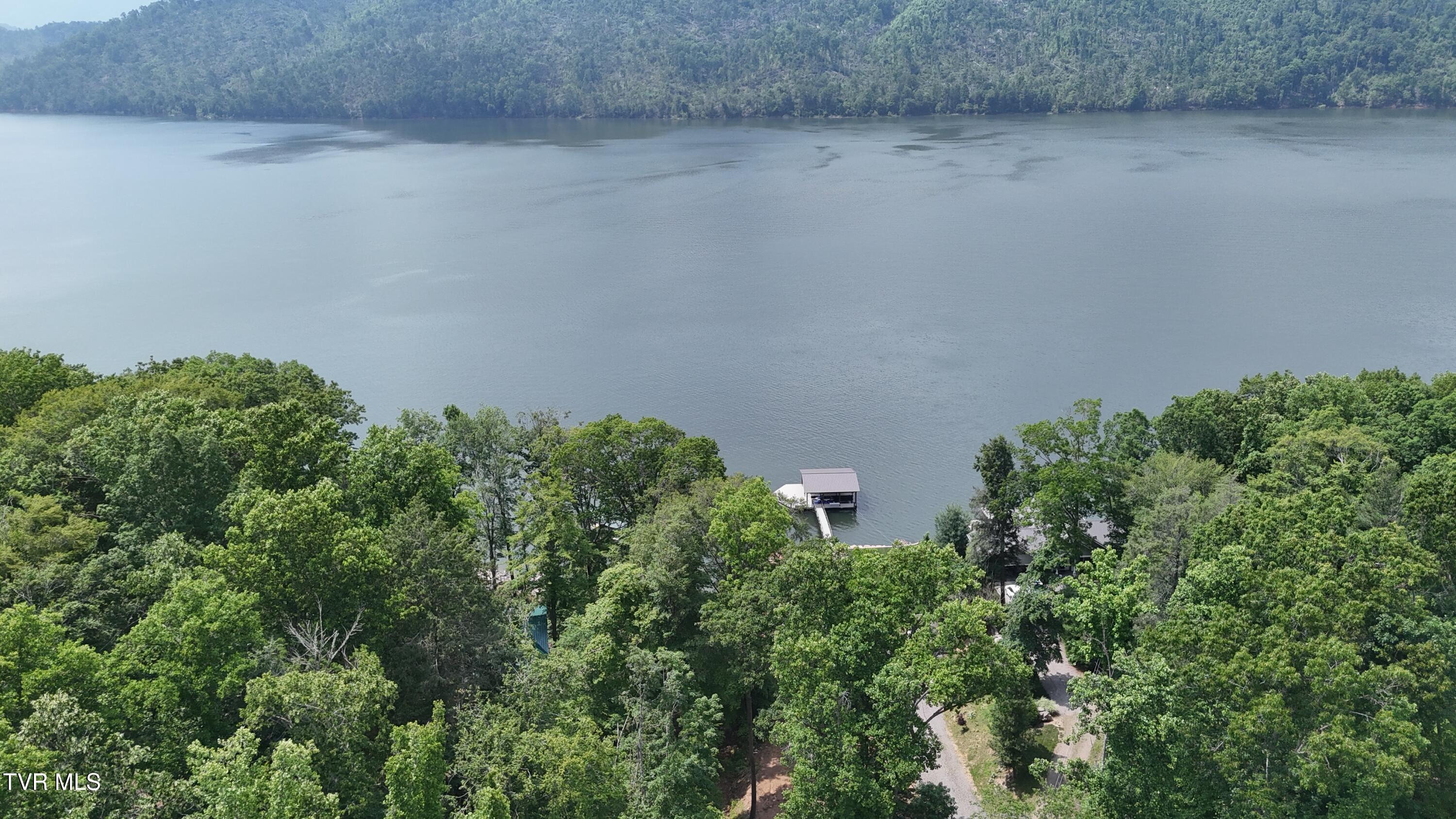 Tr 1 Atwood Point, Butler, Tennessee image 30