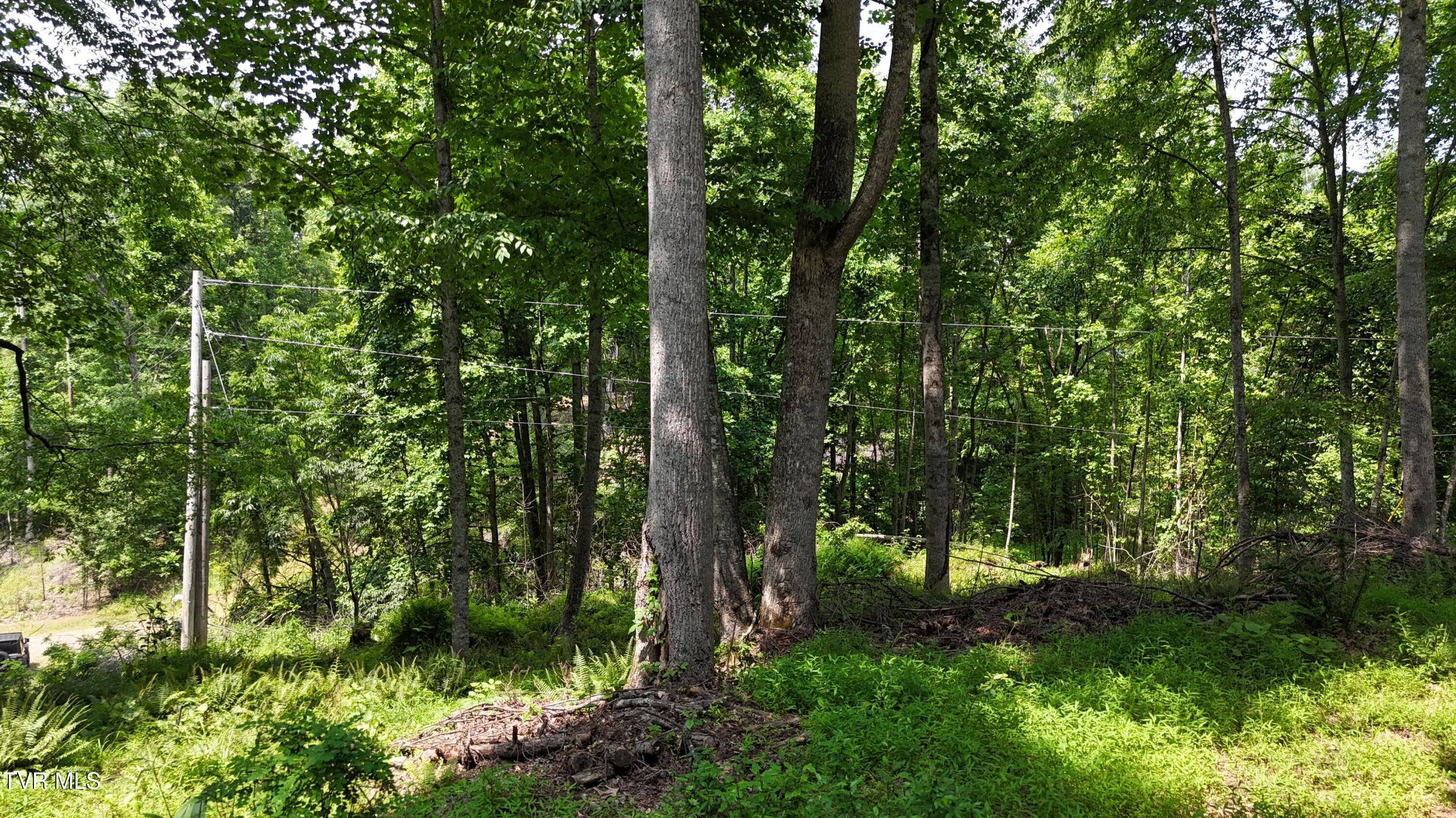 Tr 1 Atwood Point, Butler, Tennessee image 20