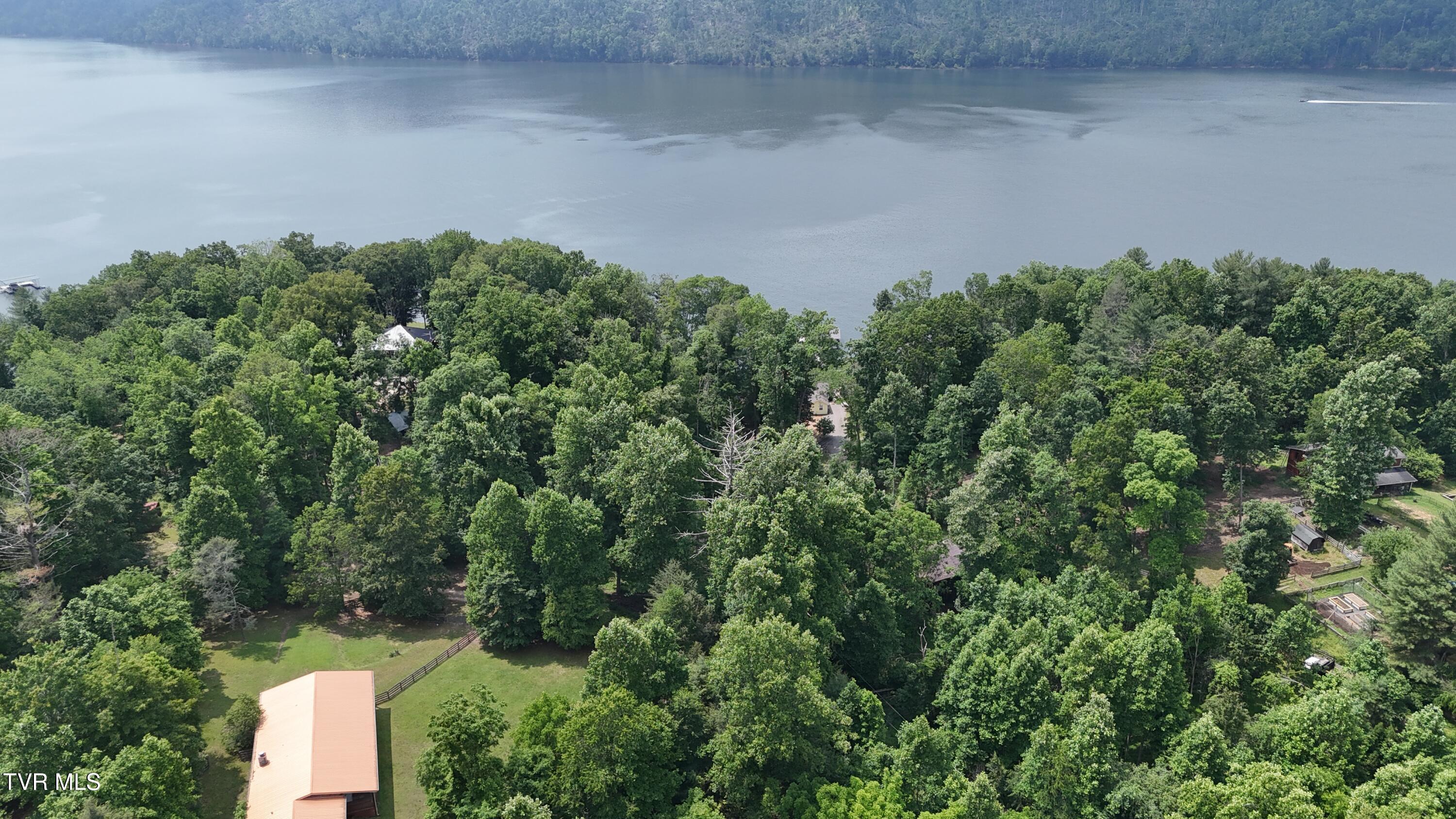 Tr 1 Atwood Point, Butler, Tennessee image 12