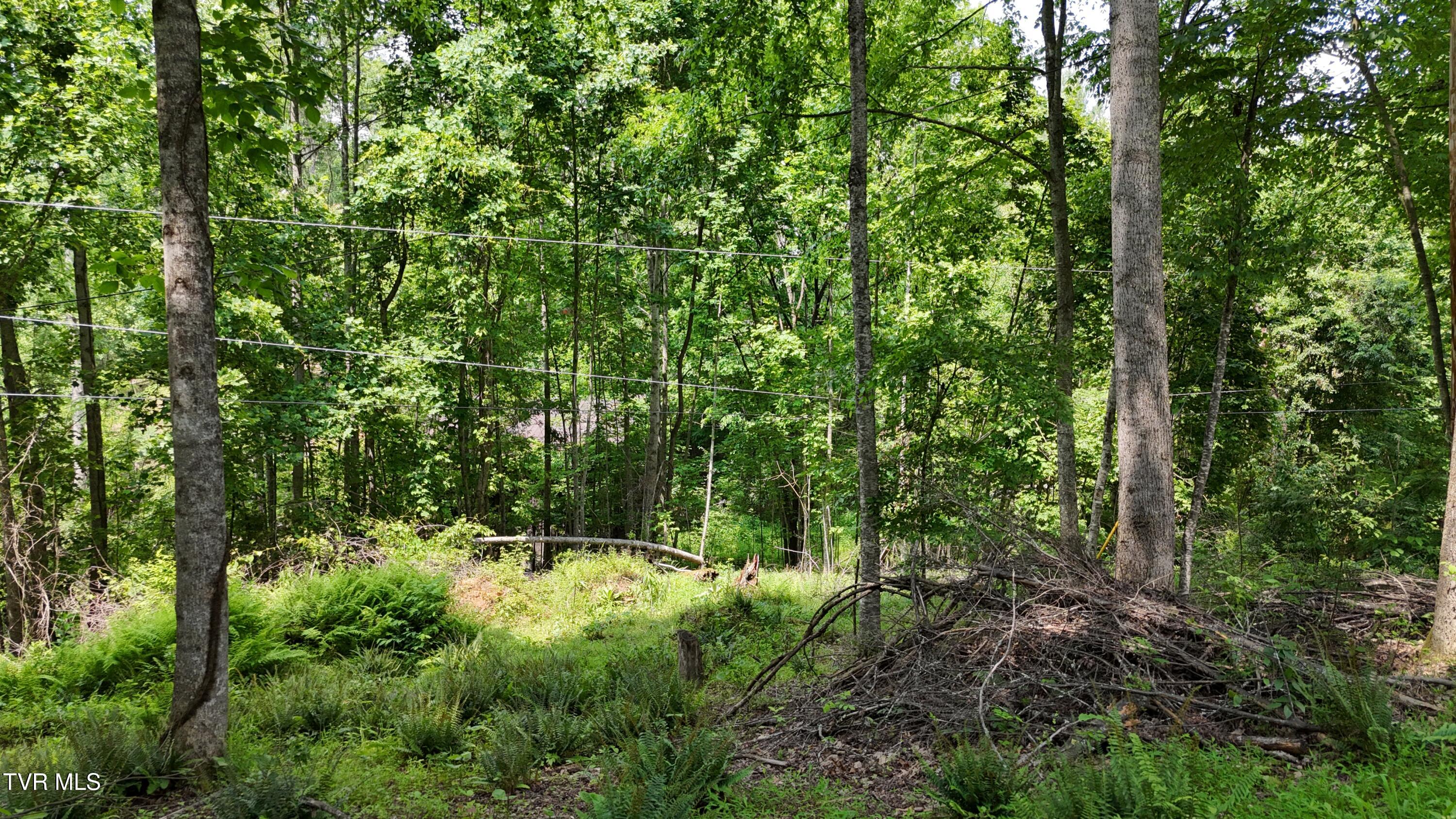 Tr 1 Atwood Point, Butler, Tennessee image 24
