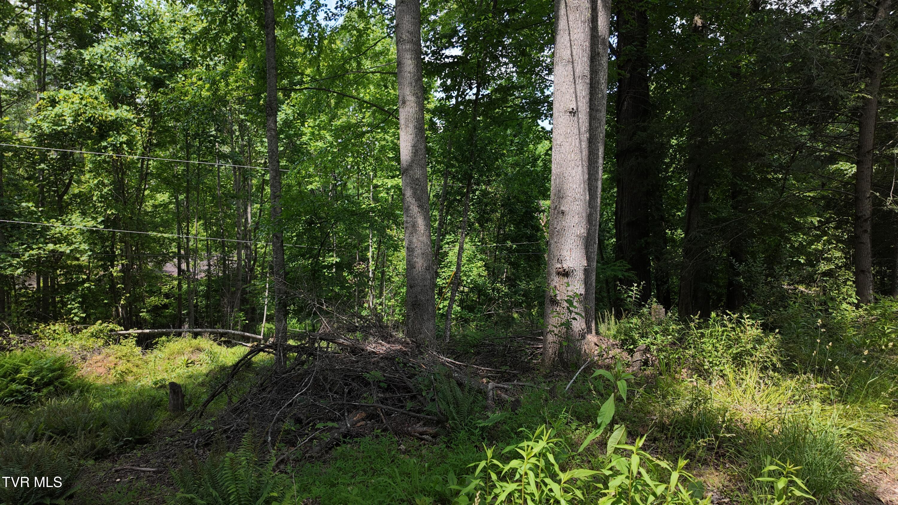 Tr 1 Atwood Point, Butler, Tennessee image 39