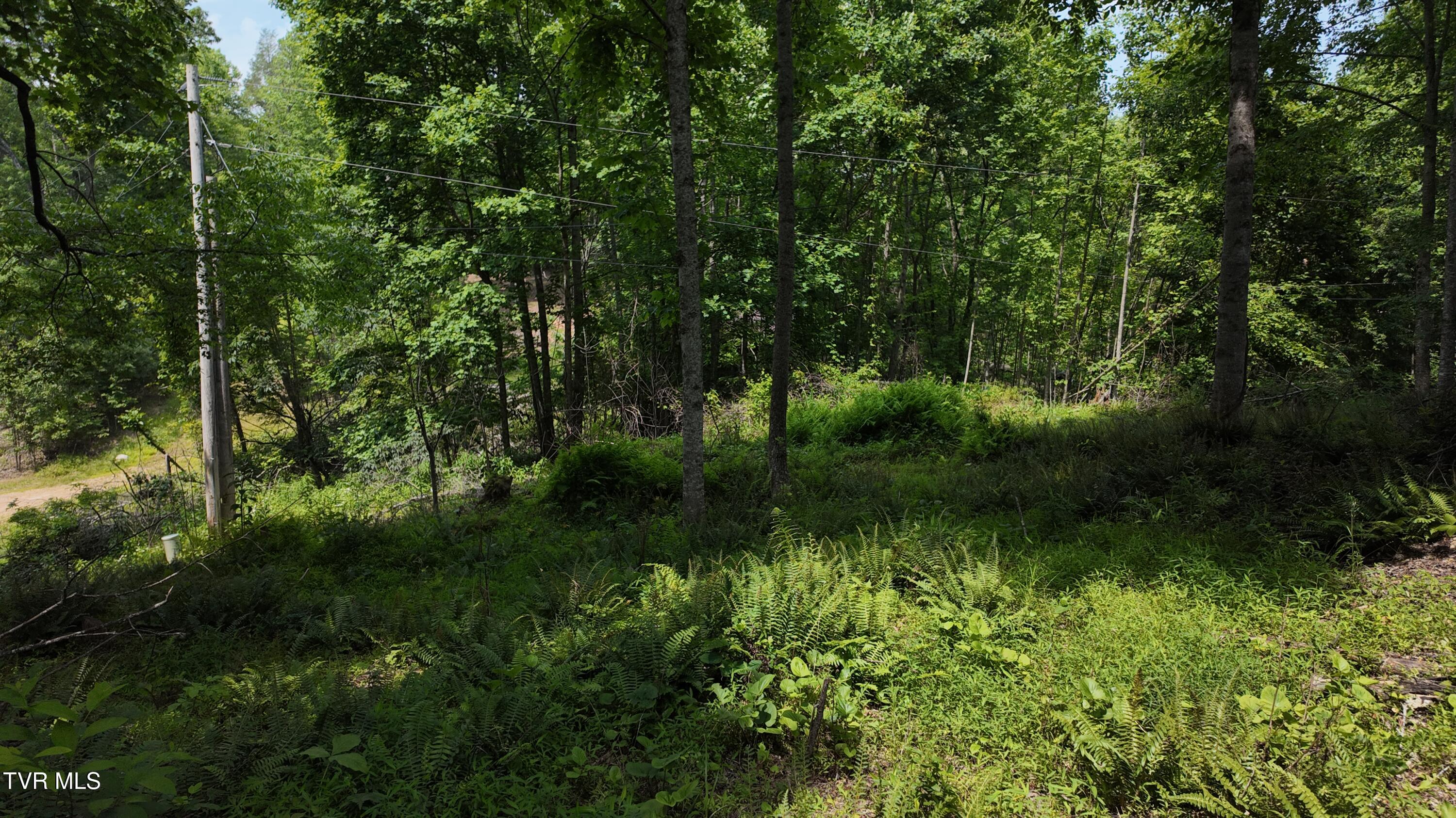 Tr 1 Atwood Point, Butler, Tennessee image 2