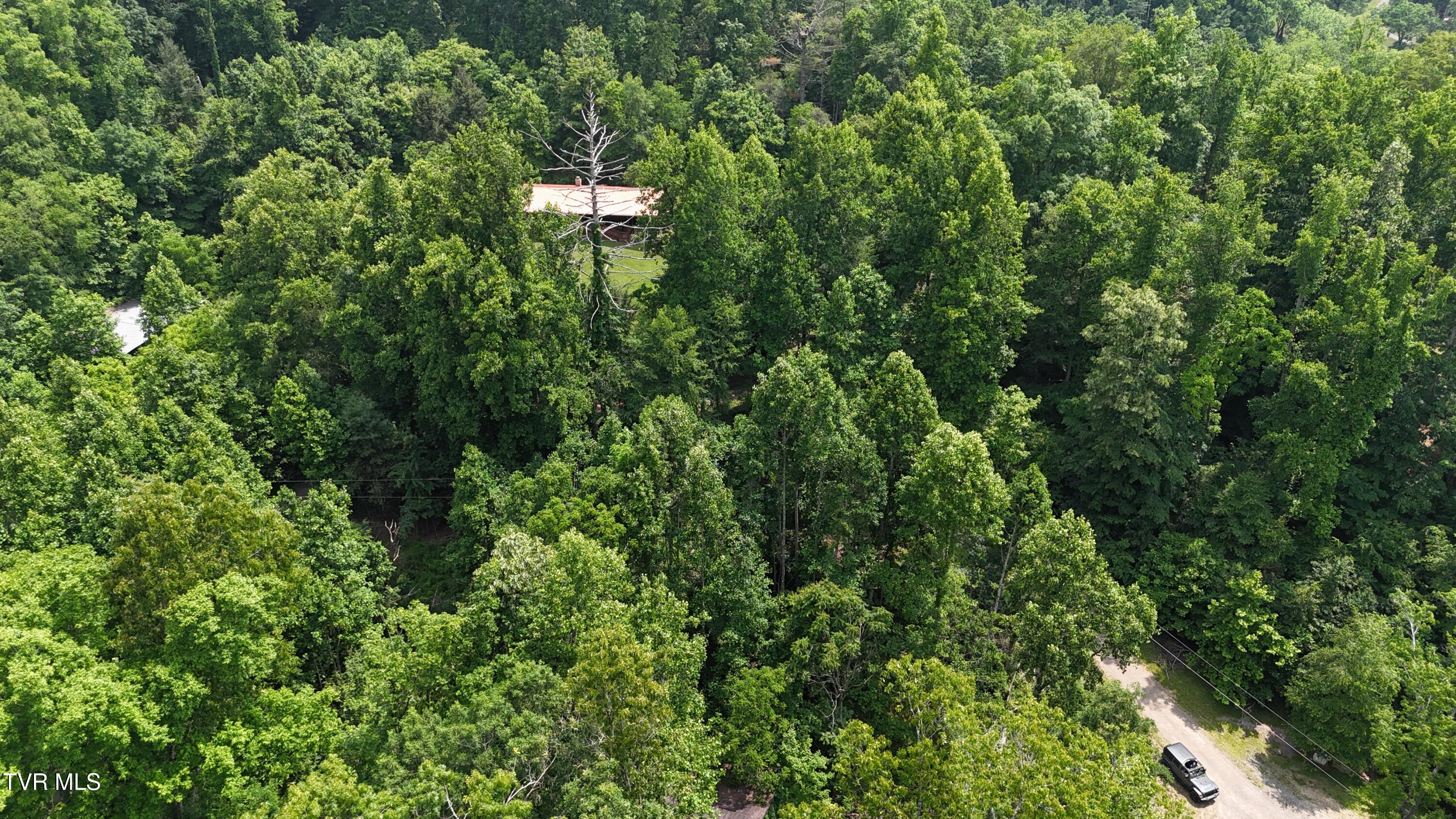 Tr 1 Atwood Point, Butler, Tennessee image 17