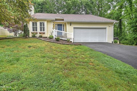 Photo of 1020 Cox Trail Place, Kingsport, TN 37660 (MLS # 9995193)