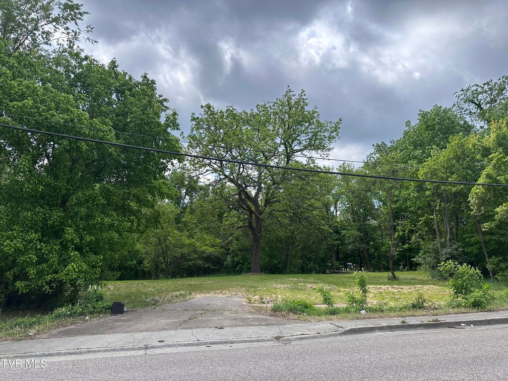 Photo of 2735 Walnut Street, Johnson City, TN 37604 (MLS # 9994708)