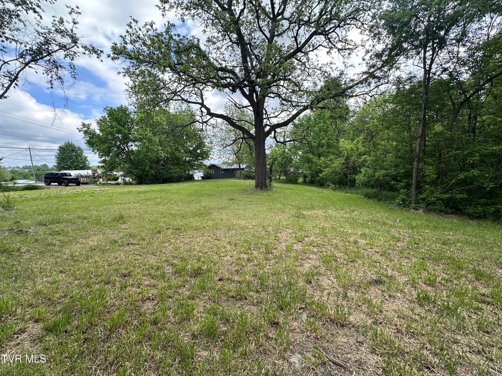 Photo of 2735 Walnut Street, Johnson City, TN 37604 (MLS # 9994708)