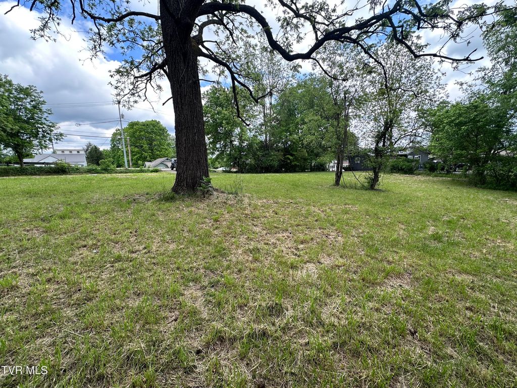 Photo of 2735 Walnut Street, Johnson City, TN 37604 (MLS # 9994708)