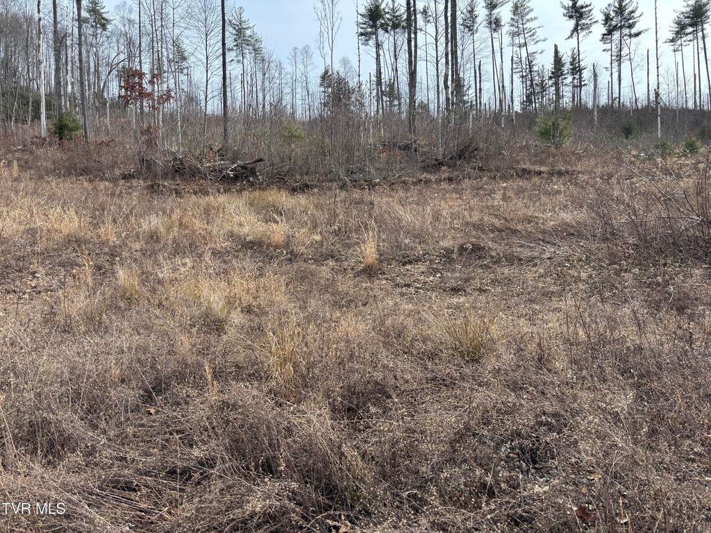 Photo of Tbd Pleasant Valley Road, Mountain City, TN 37683 (MLS # 9991324)