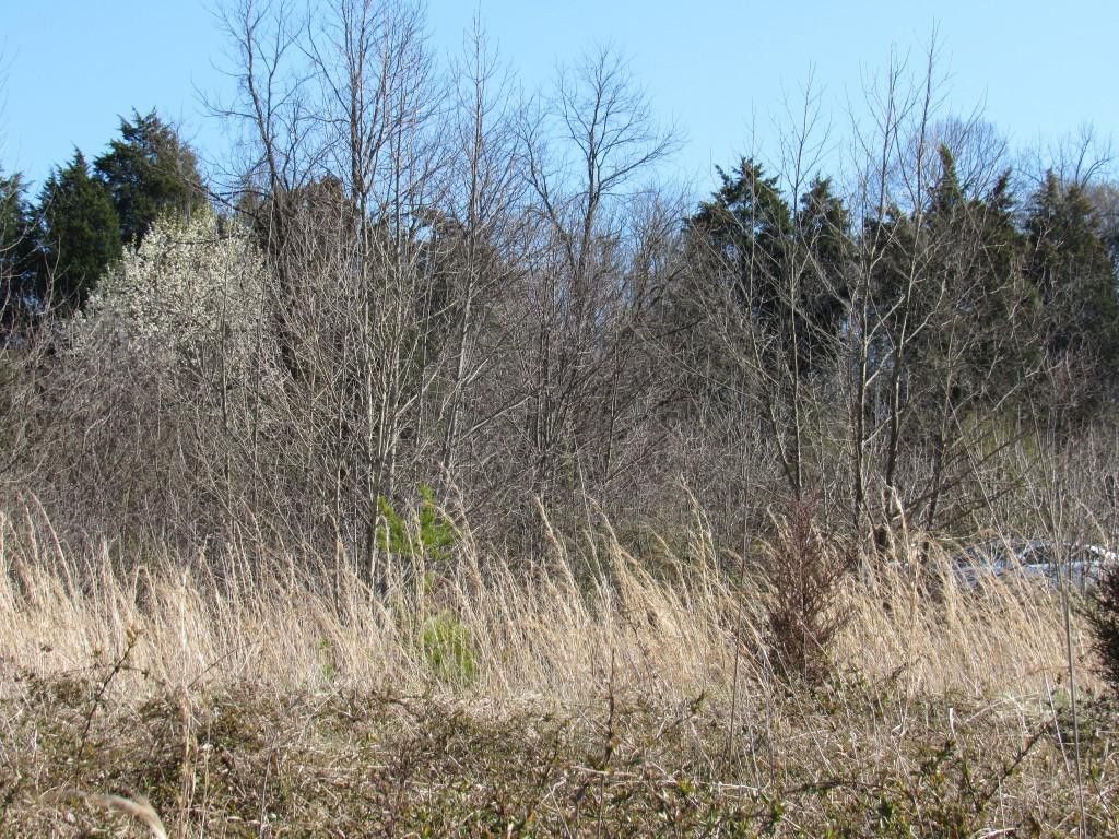 Photo of 6 Rock Springs Road, Kingsport, TN 37664 (MLS # 9988878)