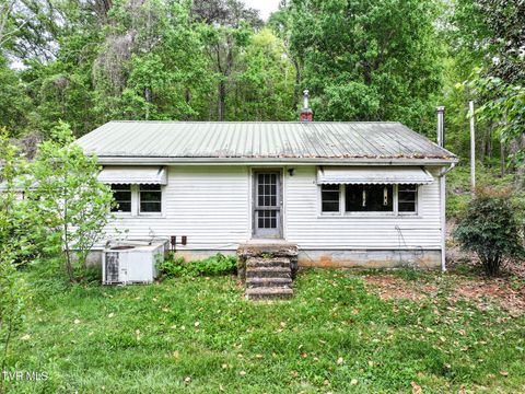 Photo of 235 House Road, Greeneville, TN 37743 (MLS # 9994515)