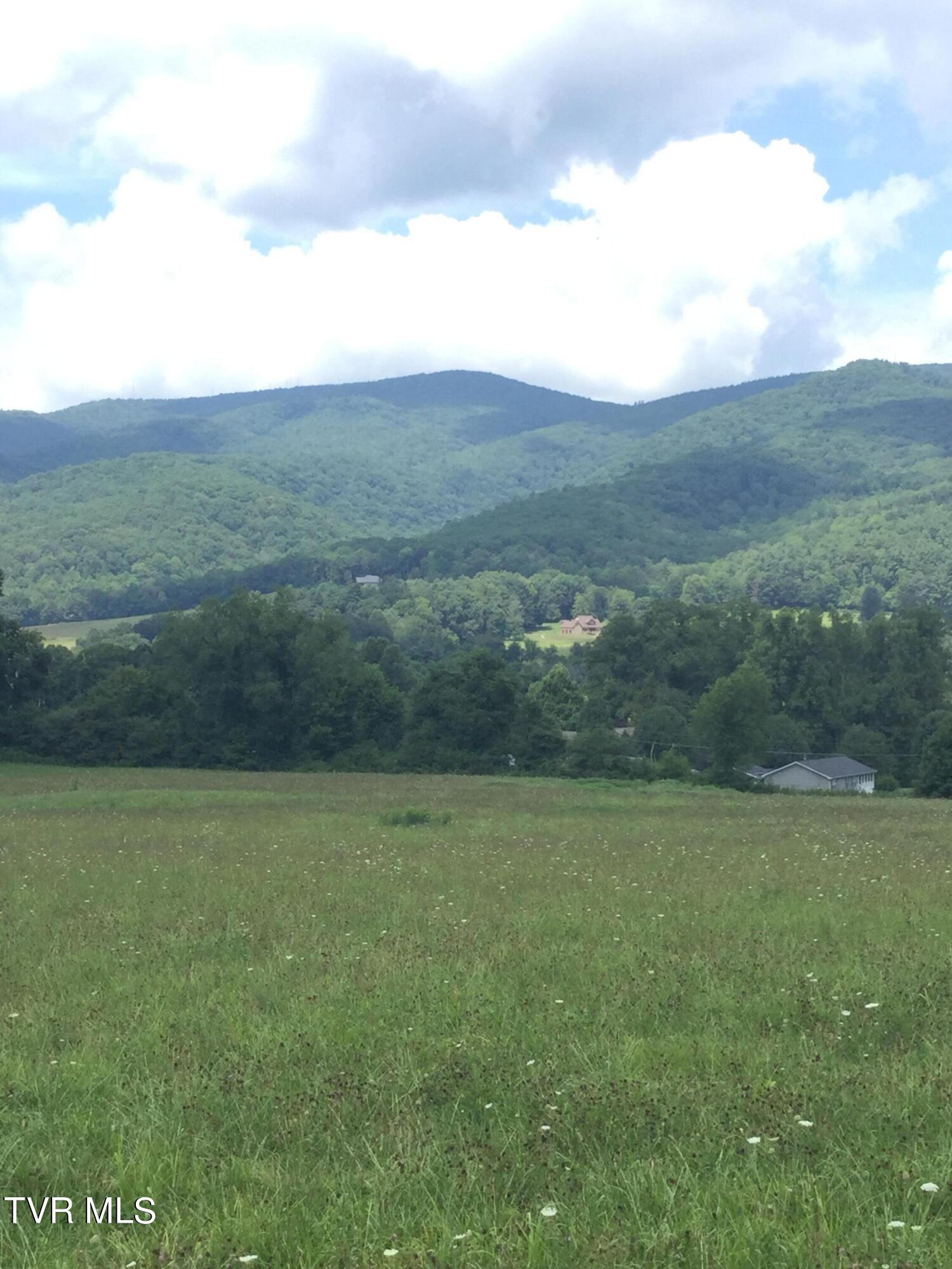 182 Peters Hollow Road, Elizabethton, Tennessee image 2