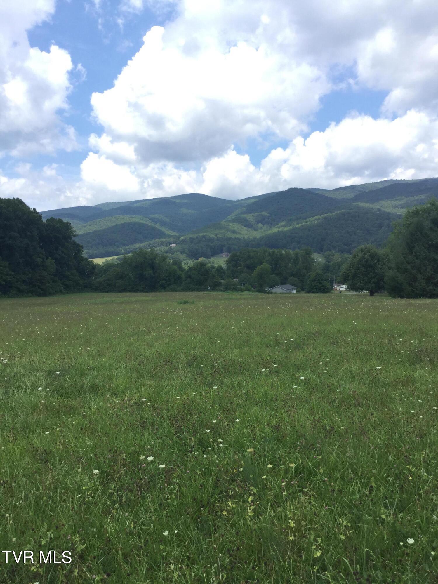 182 Peters Hollow Road, Elizabethton, Tennessee image 3