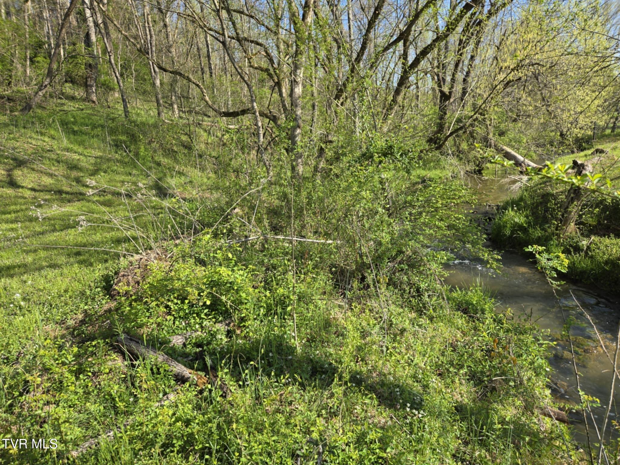 1995 Chuckey Highway, Chuckey, Tennessee image 29