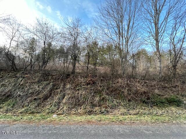 1968 Campbell Road, Mountain City, Tennessee image 4