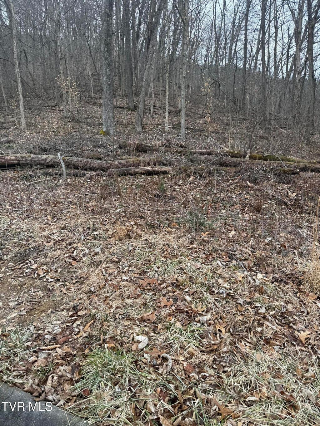 Photo of 2016 Queensbury Court, Kingsport, TN 37660 (MLS # 9991312)