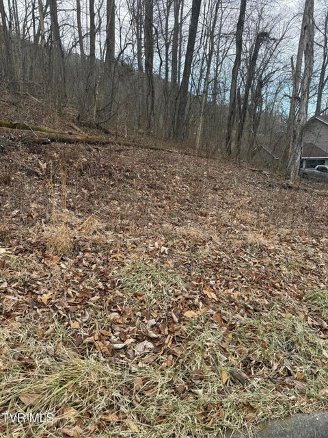 Vacant Land For Sale - 2016 Queensbury Court<br/> Kingsport, TN 37660